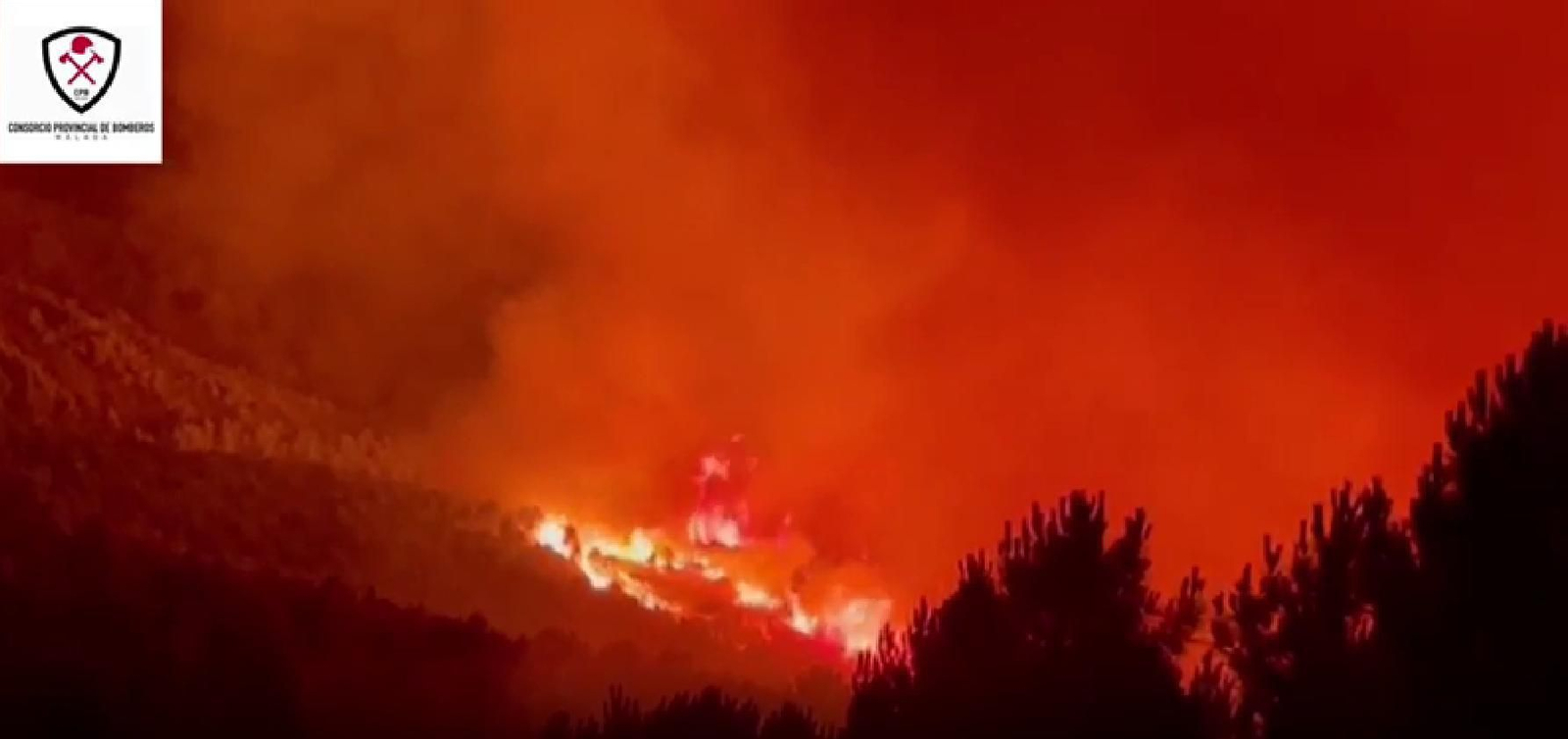 El incendio forestal de Jubrique, el primero del verano en Málaga, en fotos