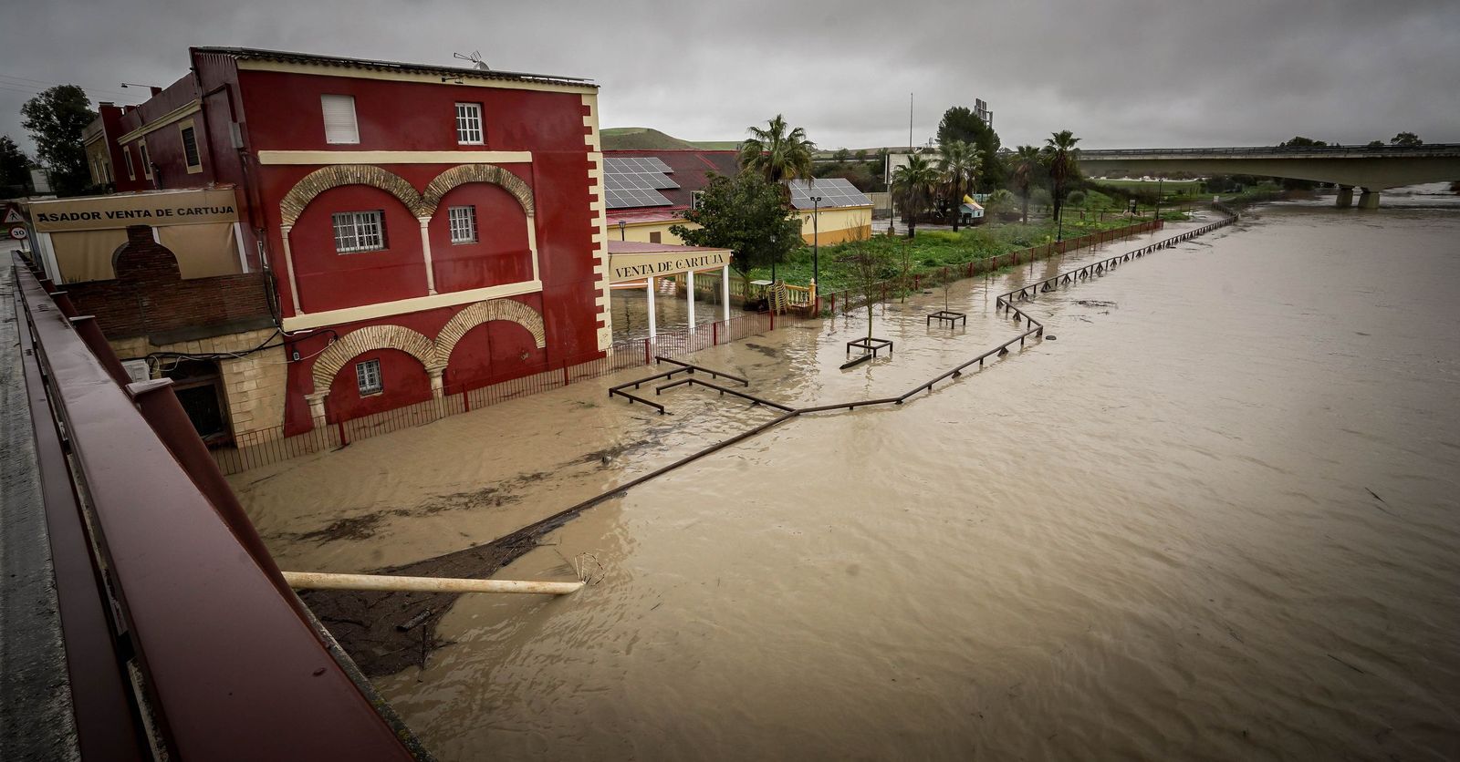 Imágenes de las graves consecuencias de la crecida del rio Guadalete en la zona rural de Jerez