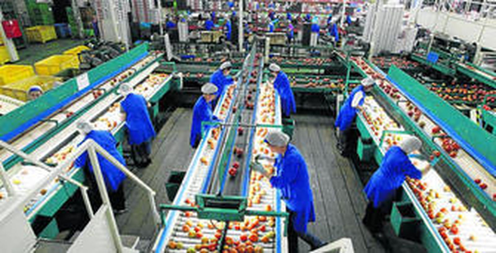 Instalaciones de Vicasol, una de las cooperativas hortofrutícolas de primer grado por volumen de facturación en España.