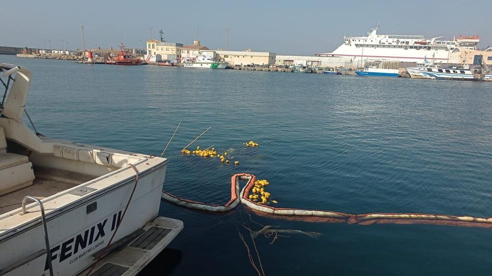 Las últimas evidencias recabadas por Carbopesca son del mes de octubre