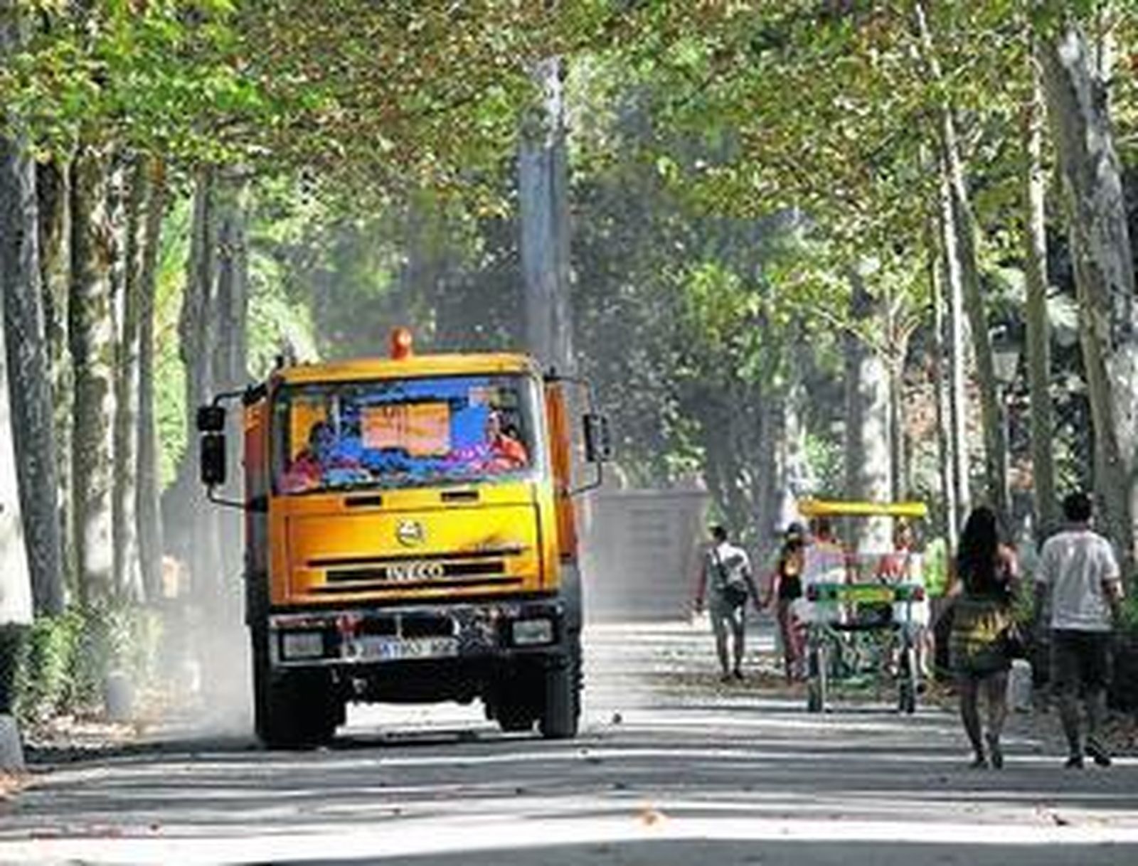 Tareas de limpieza en el parque de María Luisa.