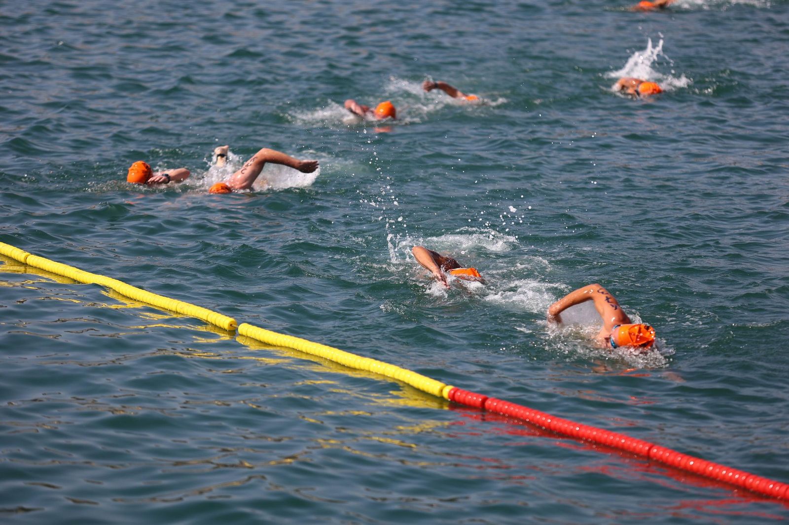 La Travesía a Nado del puerto de Málaga, en fotos