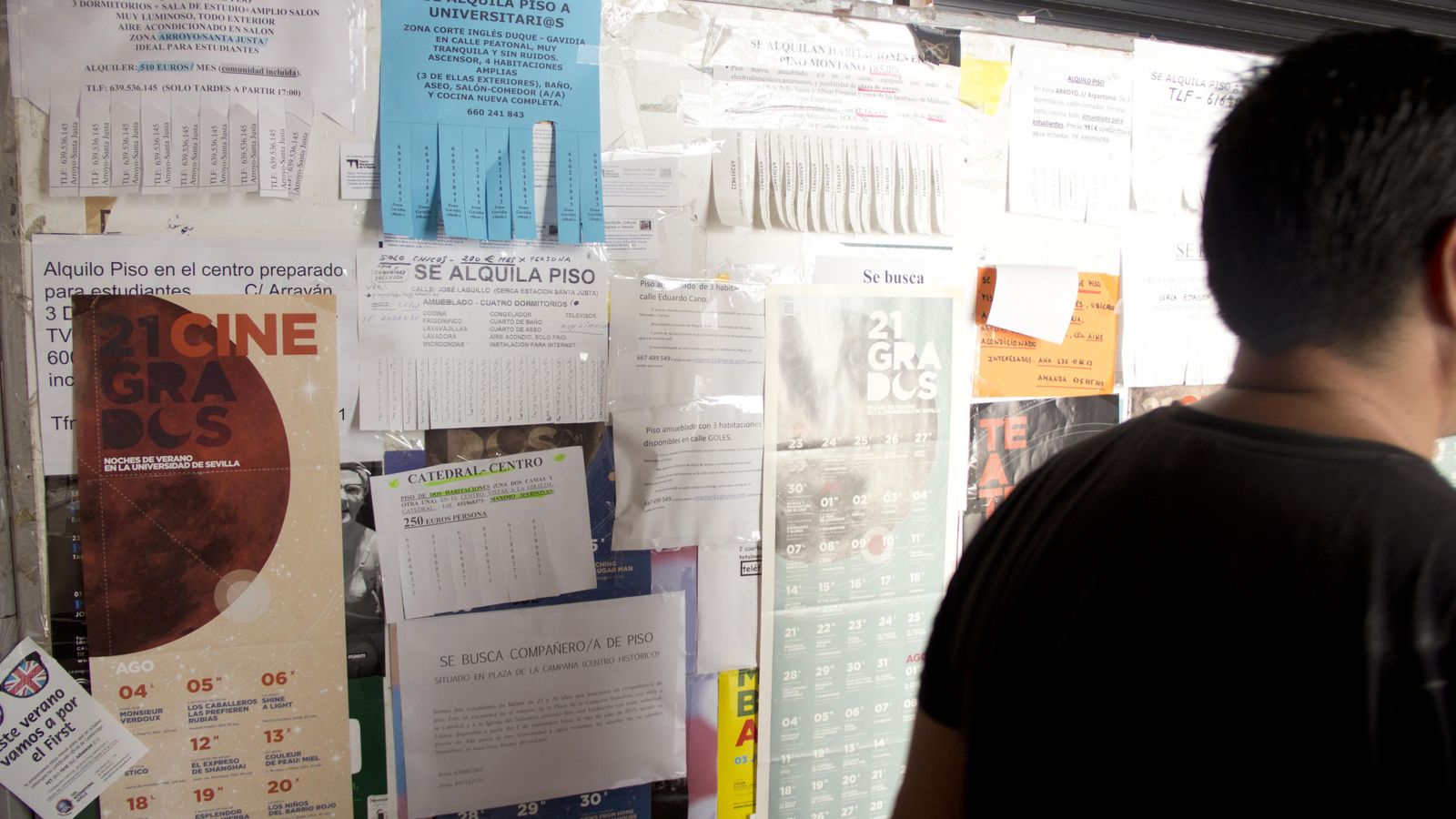 Anuncios de alquileres de pisos para estudiantes.