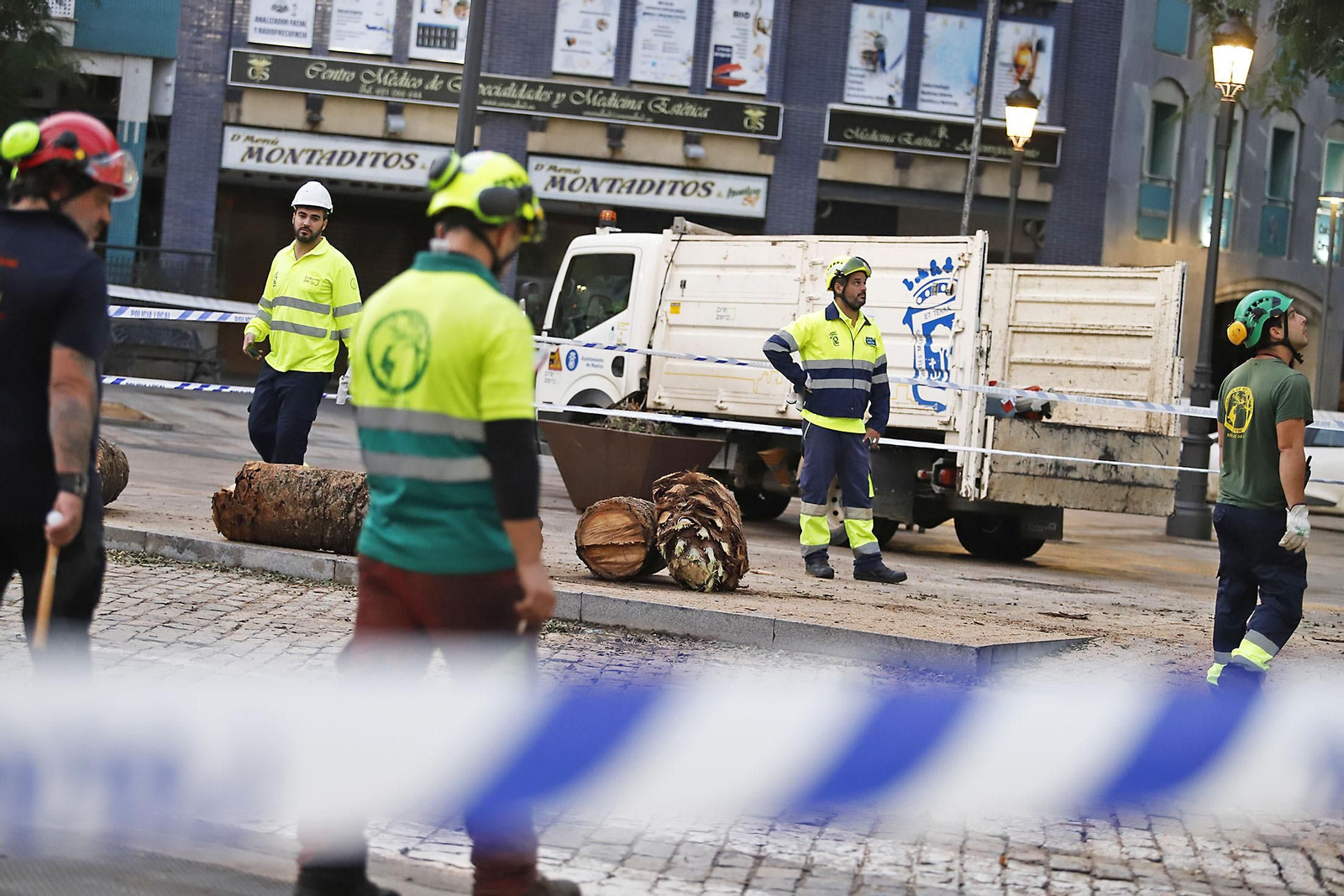 Imágenes de la tala de la emblemática Palmera de Huelva