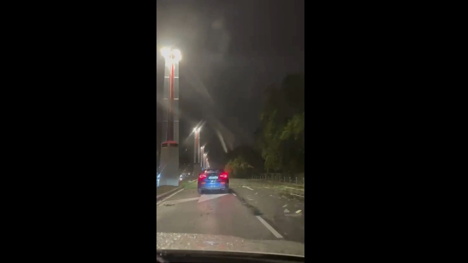 Caída de árboles en Sevilla a causa del fuerte viento