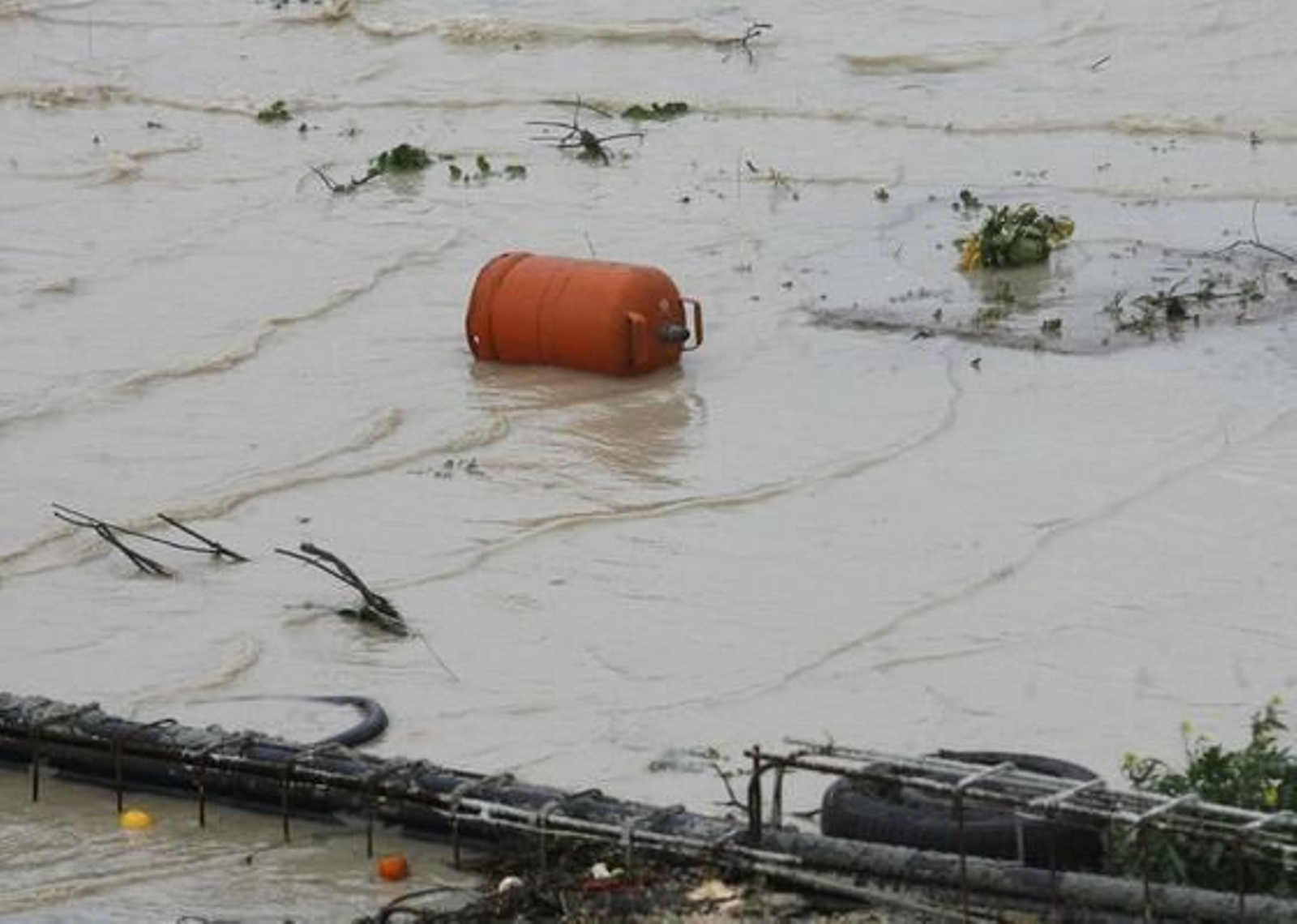 La crecida del río Gualdaquivir inunda algunas zonas de la provincia.
