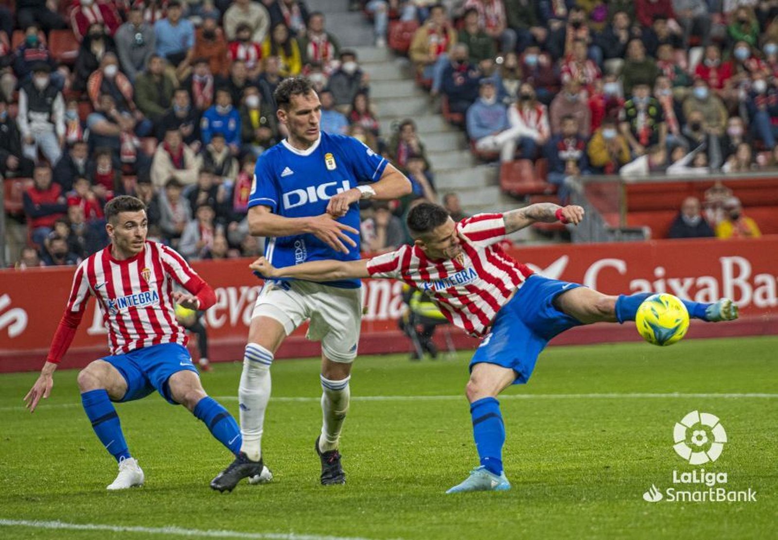 Djurdjevic ha pasado un proceso viral estos días, pero no se teme por su presencia en Almería