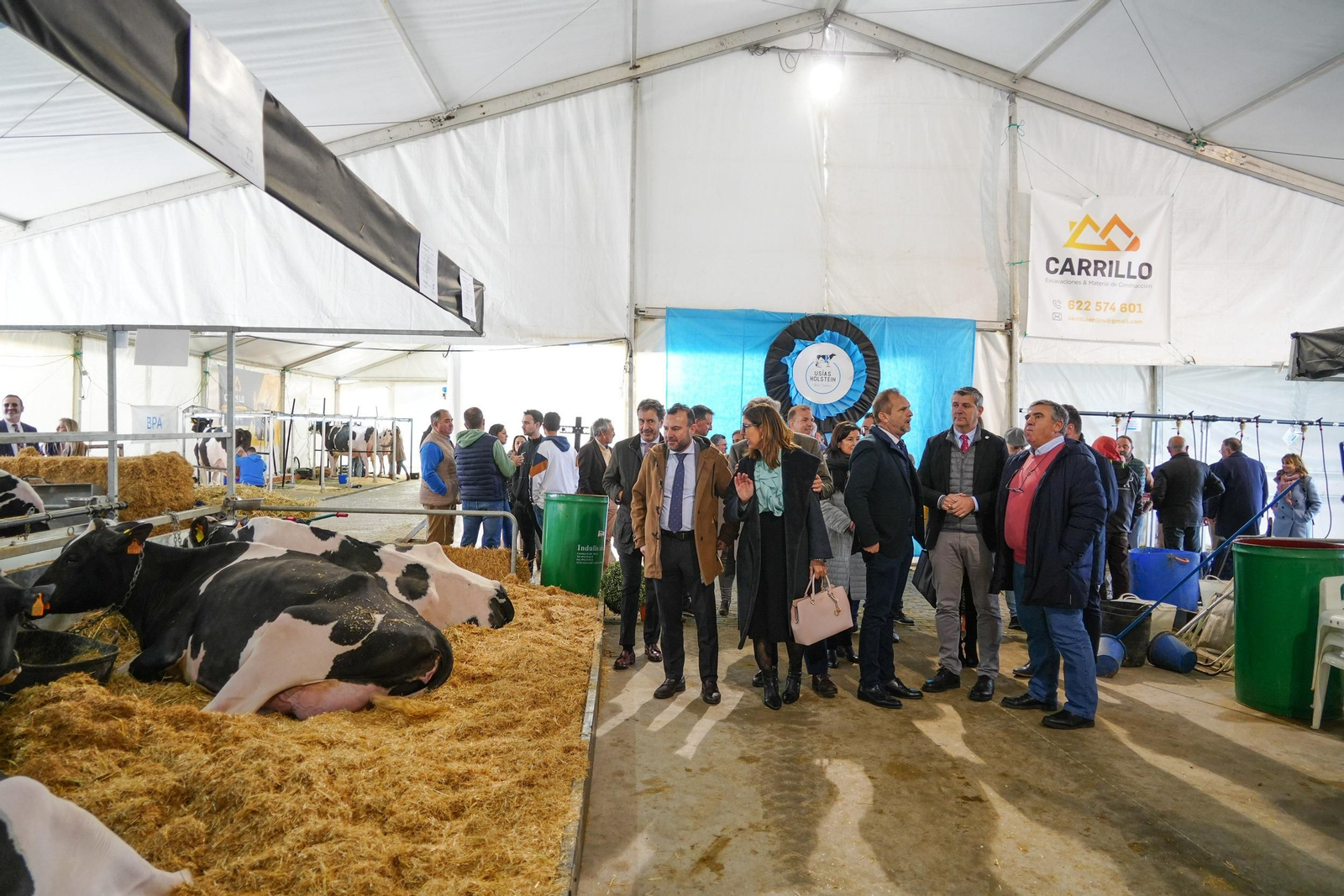 Un paseo en imágenes por la XVI Feria de Ganado Frisón Usías Holsteins de Dos Torres