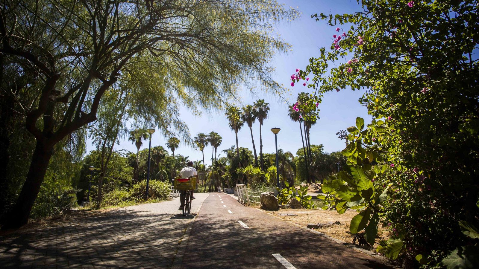 El Jardín Americano