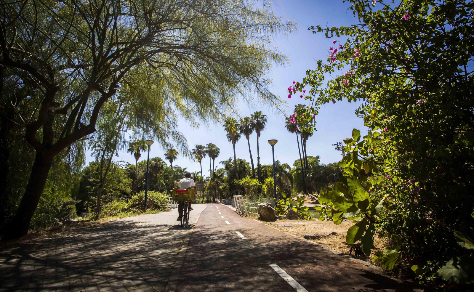 El Jardín Americano
