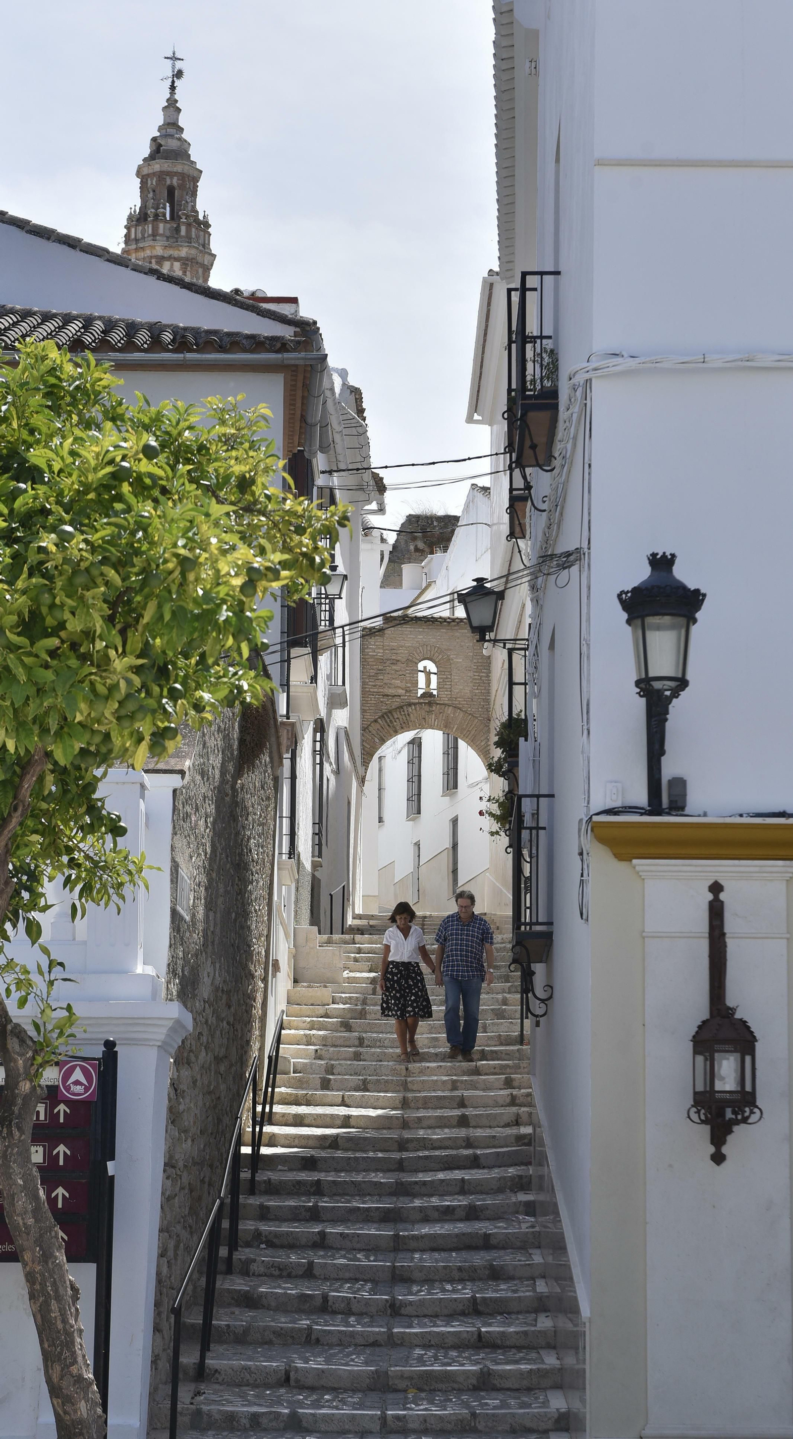 Estepa, en imágenes