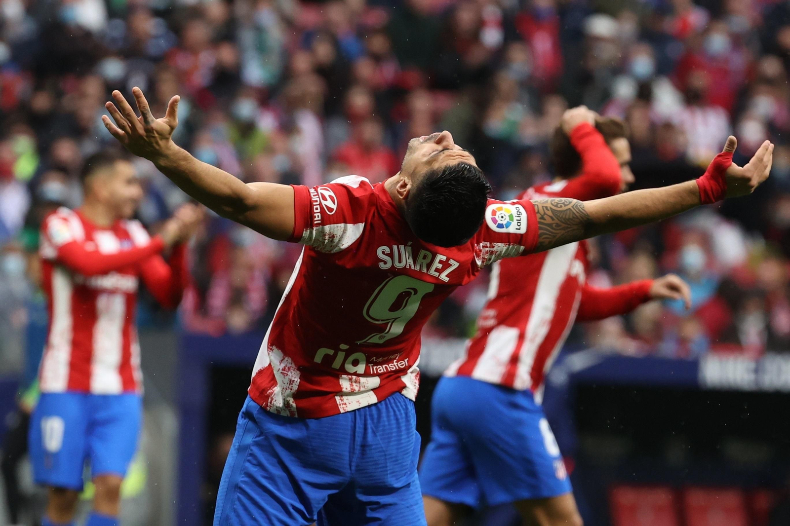 Las fotos del Atlético de Madrid-Betis