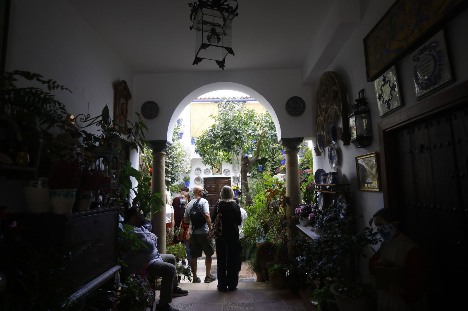 Un recorrido en fotografías por los Patios de Córdoba un domingo de otoño