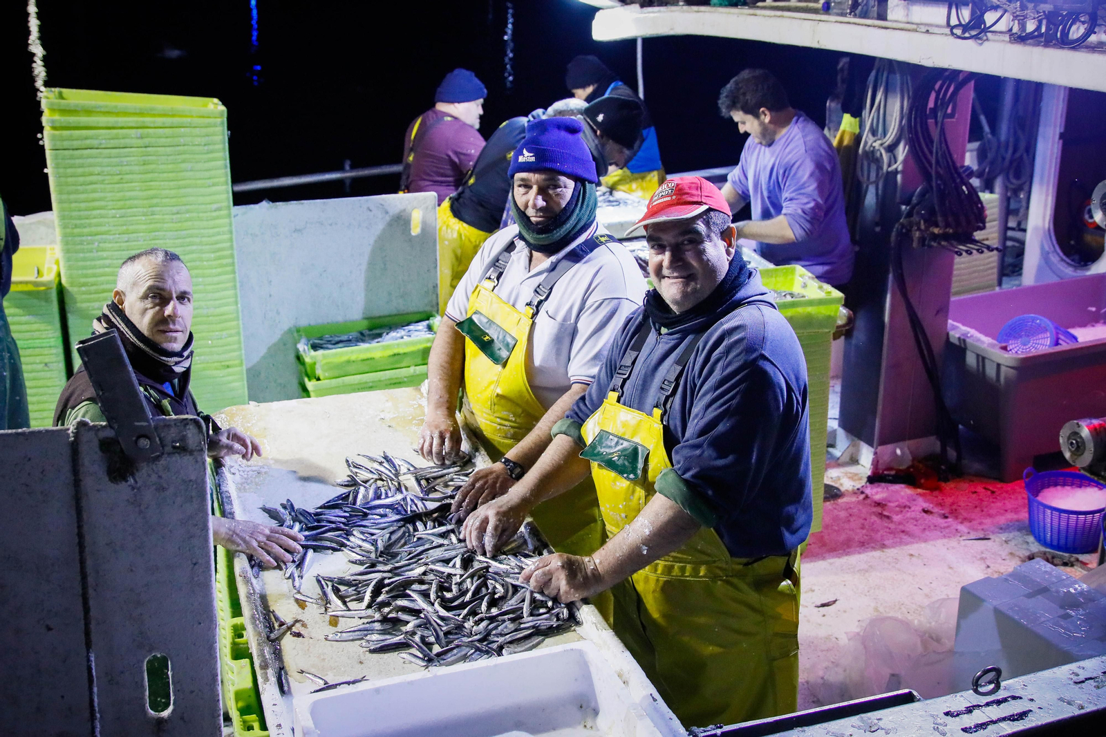 Te contamos en imágenes como ha sido la descarga de las traiñas en la lonja de Almería