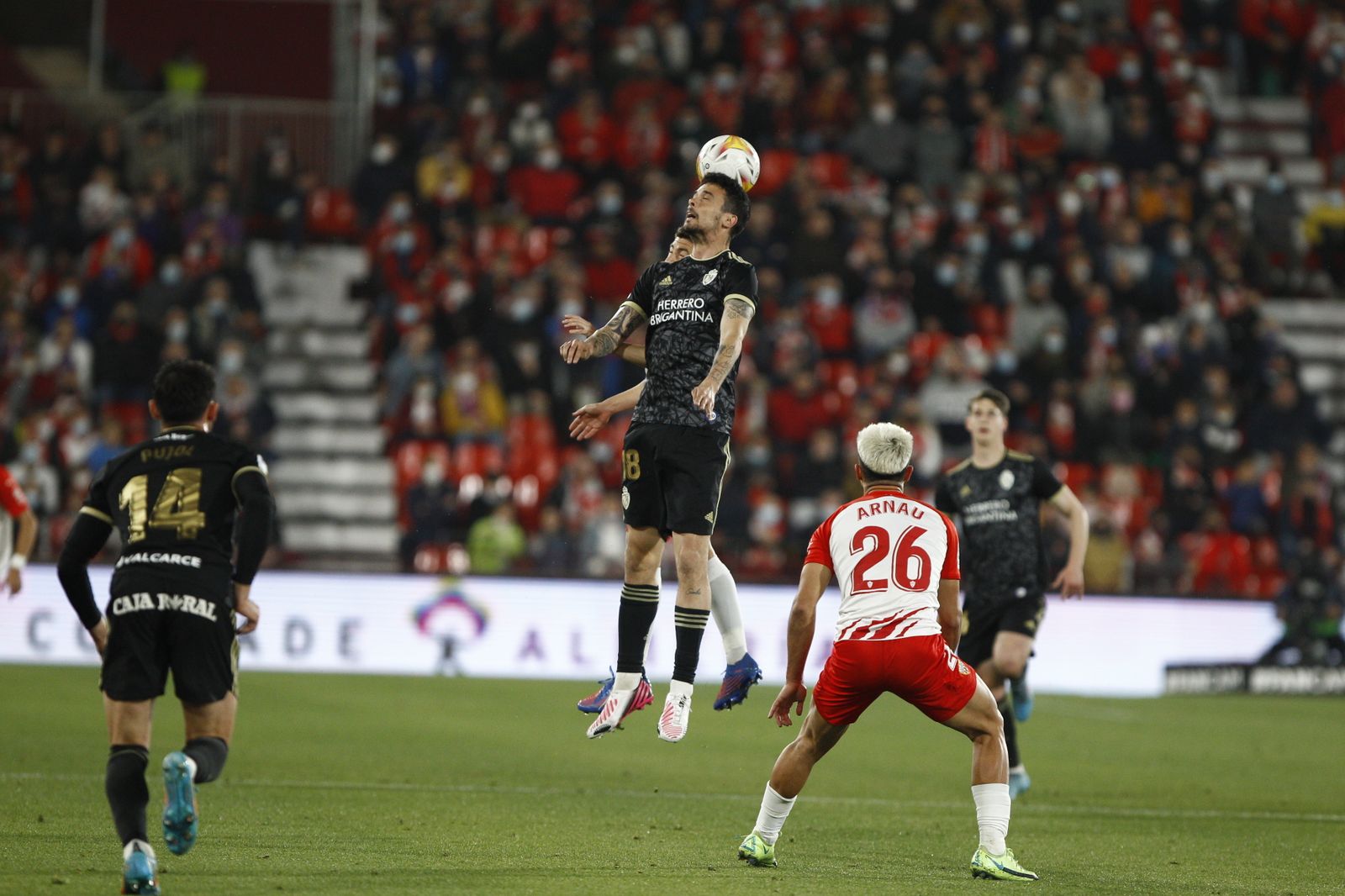 Fotogalería U.D. Almería-S.D. Ponferradina