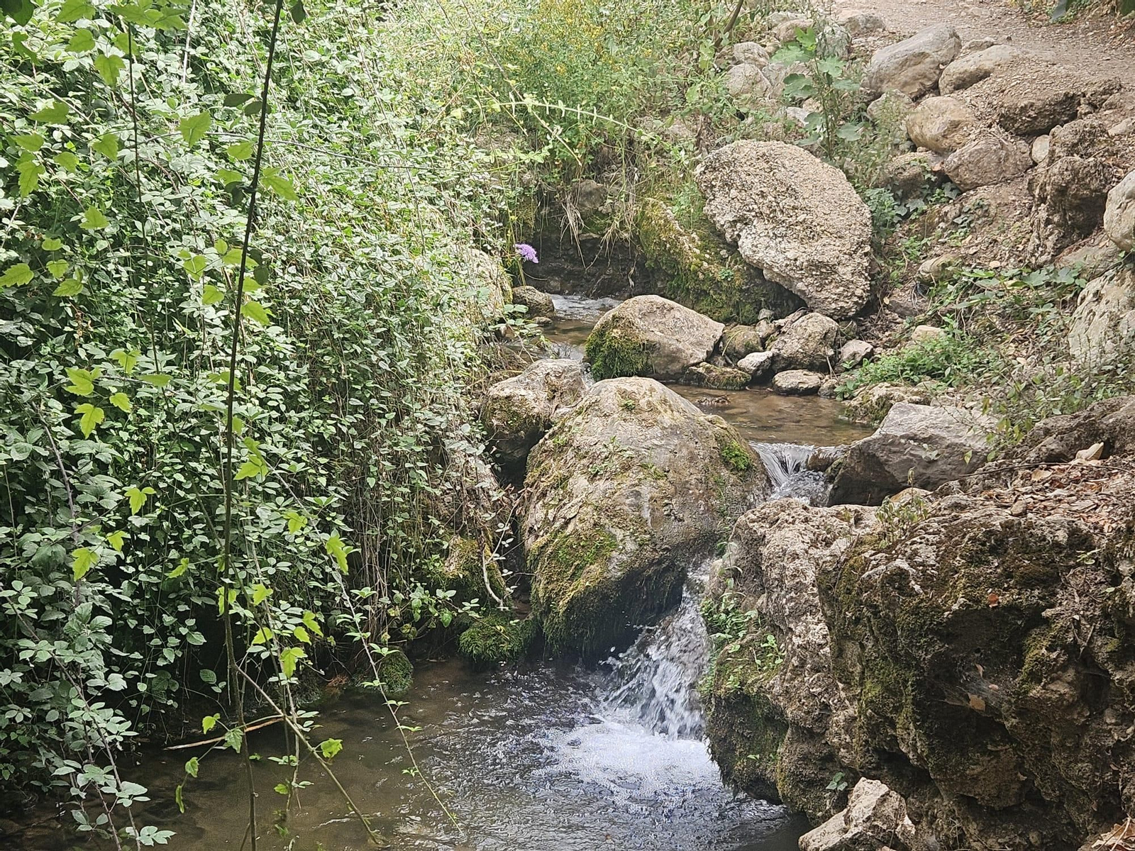 Así está en septiembre la preciosa cascada que puedes ver en Jaén