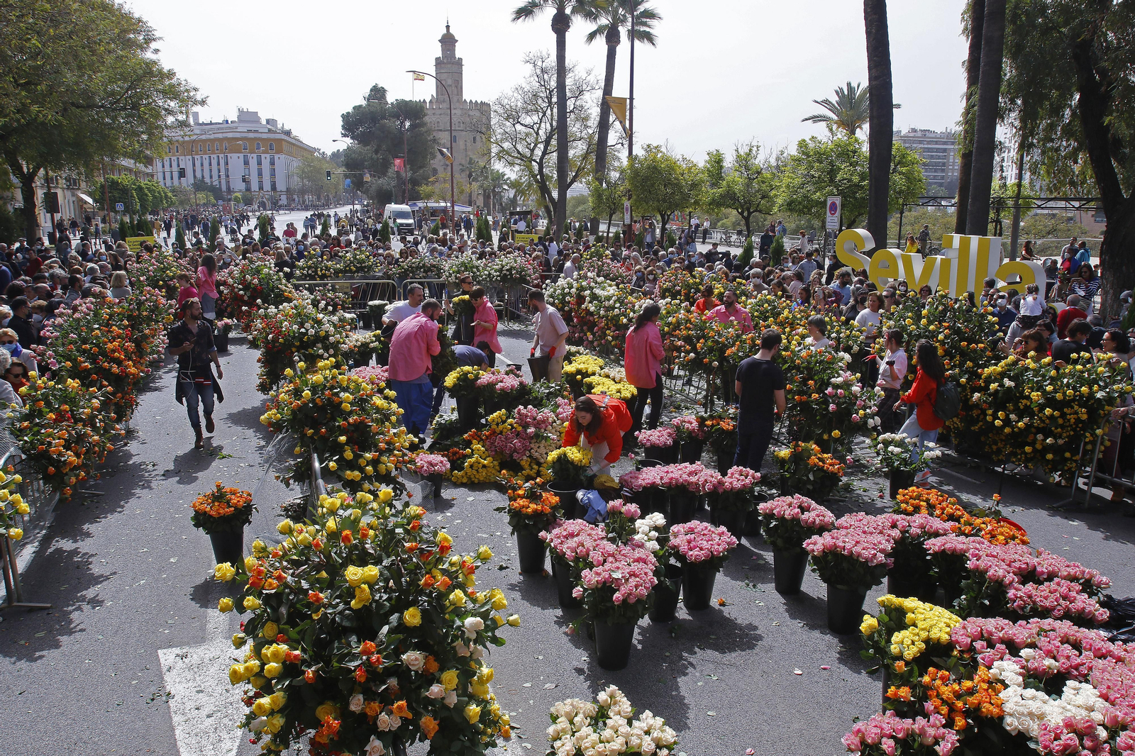 CORTE DEL PASEO COLON CON MERCADILLOS Y COLOCACION DE FLORES