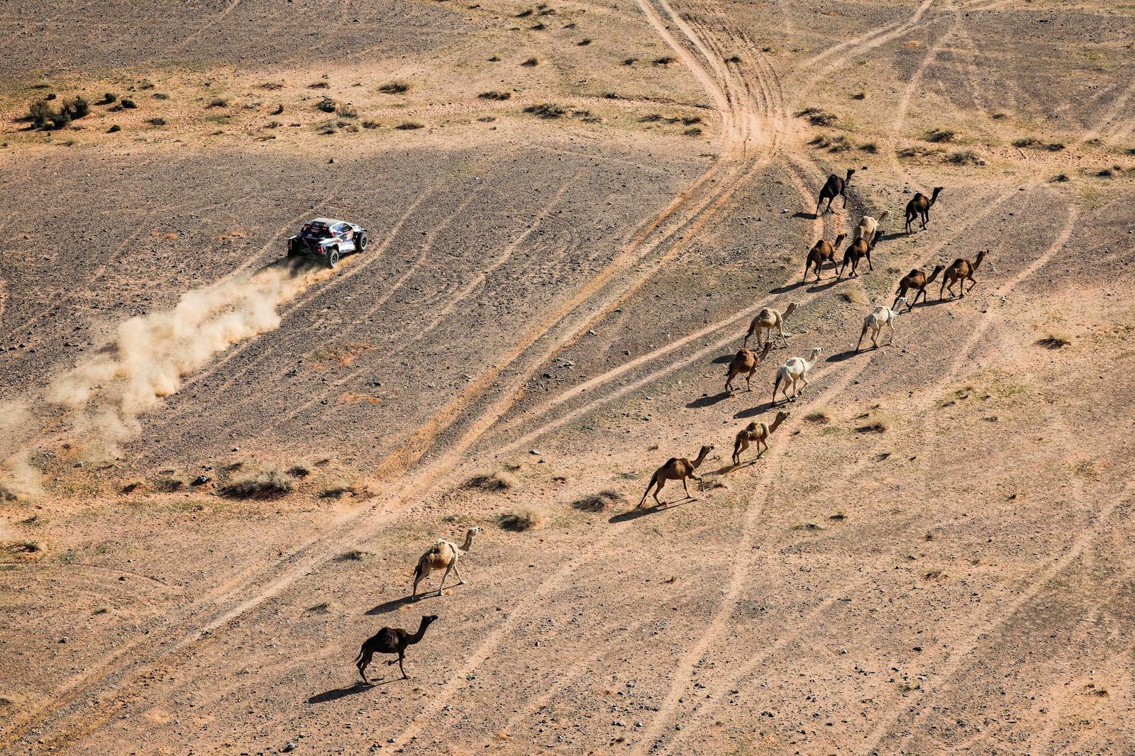 Las mejores fotos del Rally Dakar | Quinta etapa