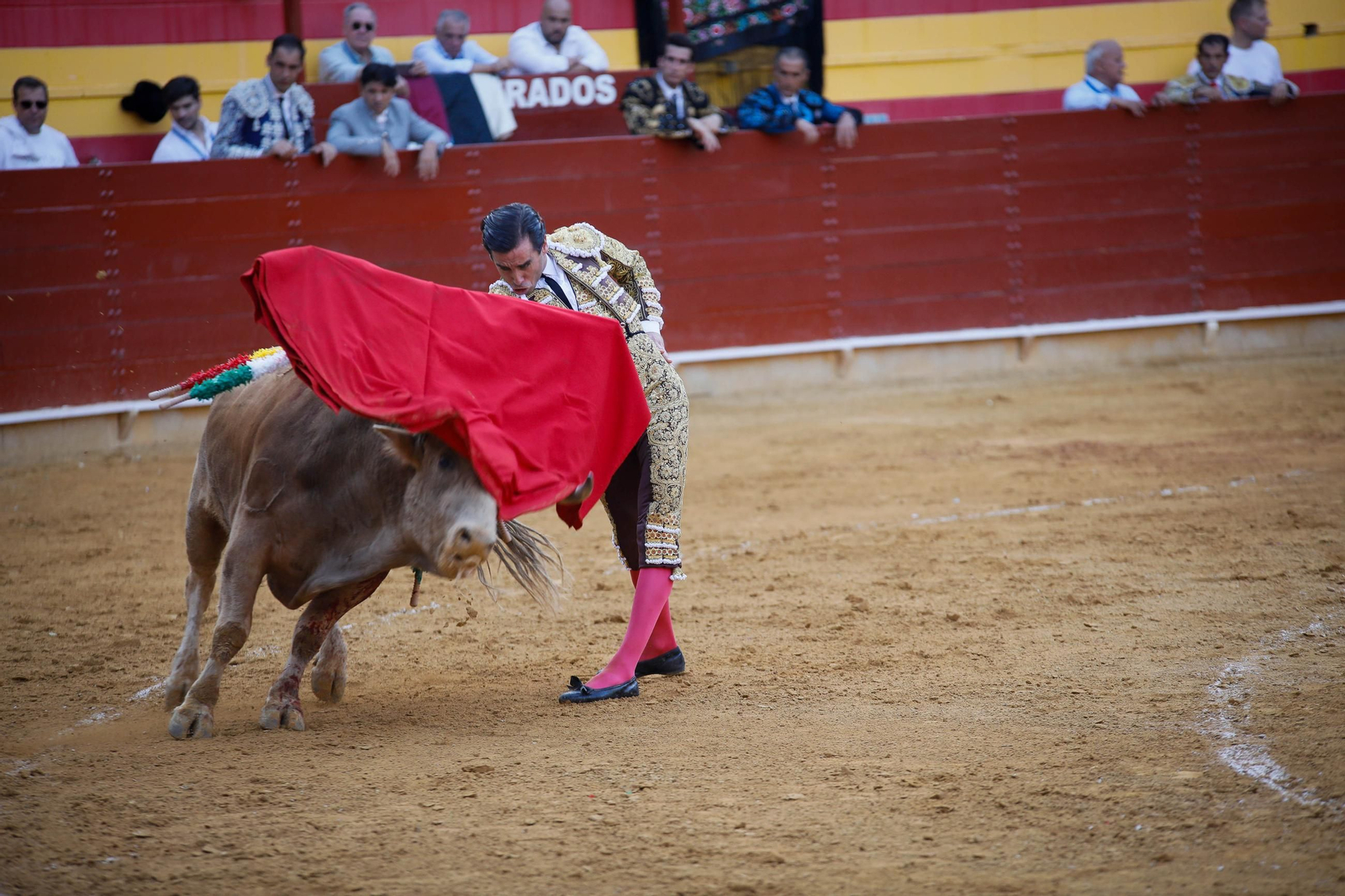 Imágenes de la corrida de toros en Roquetas de Mar