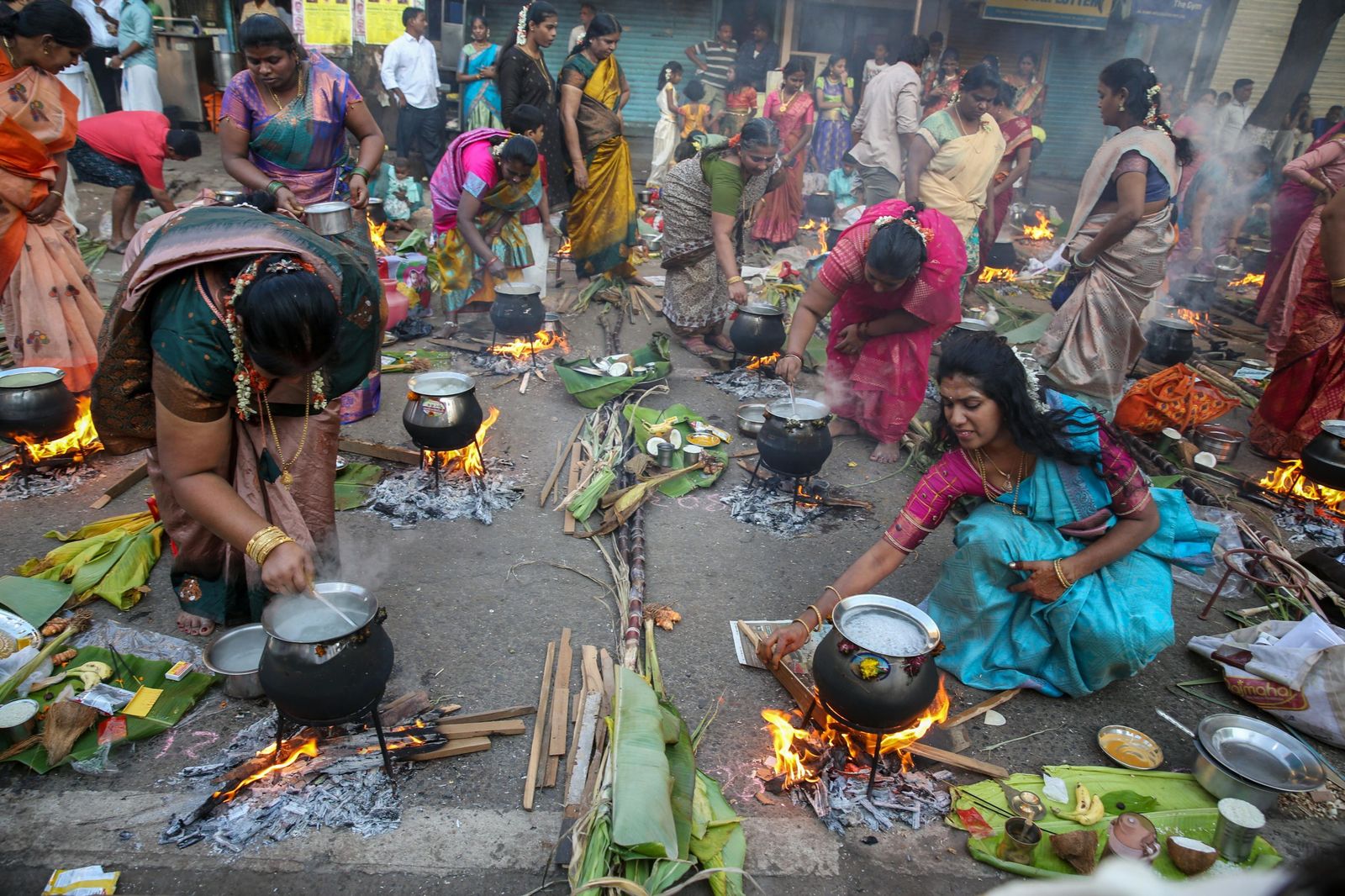 Las preciosas imágenes del Festival Thai Pongal en India
