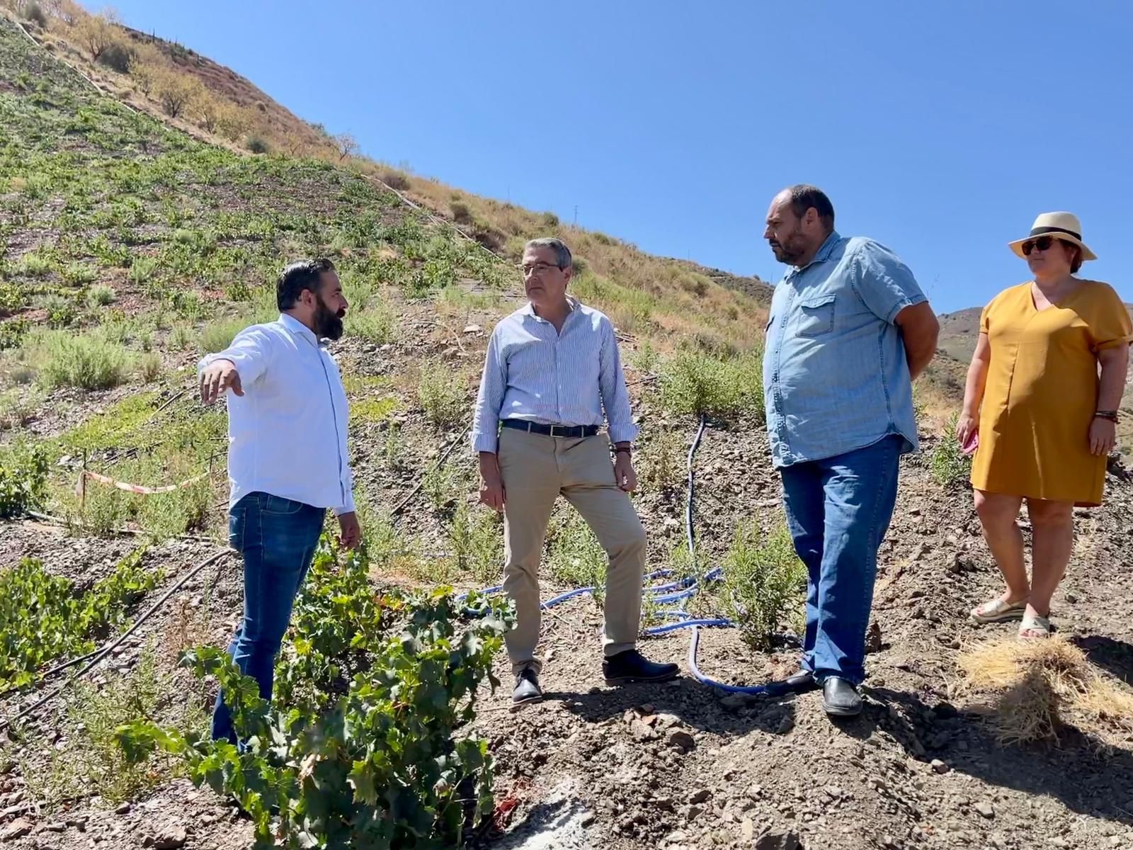 El presidente de la Diputación, Francisco Salado, visita las cepas plantadas.