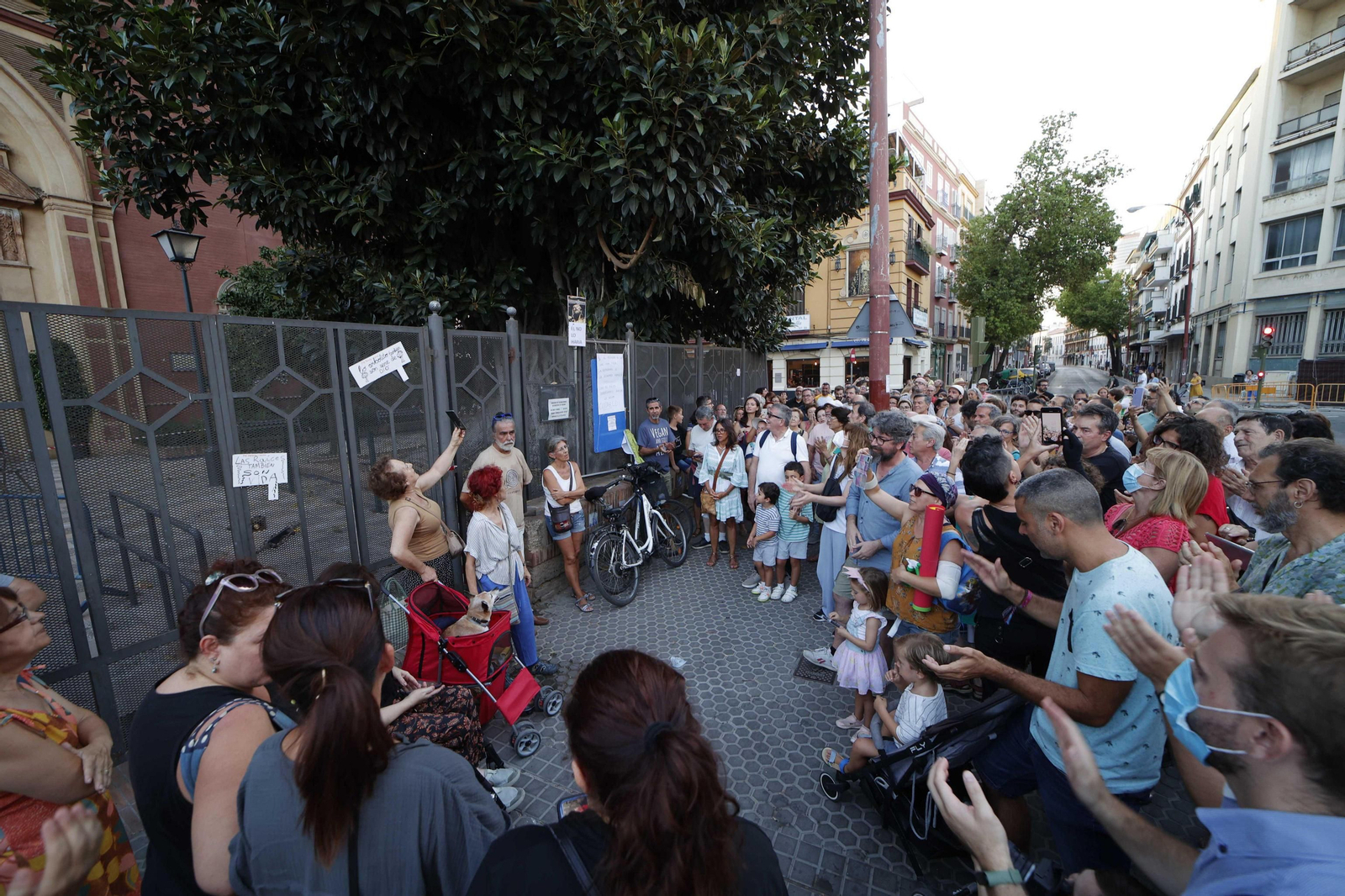 Concentración contra la tala del ficus de San Jacinto.