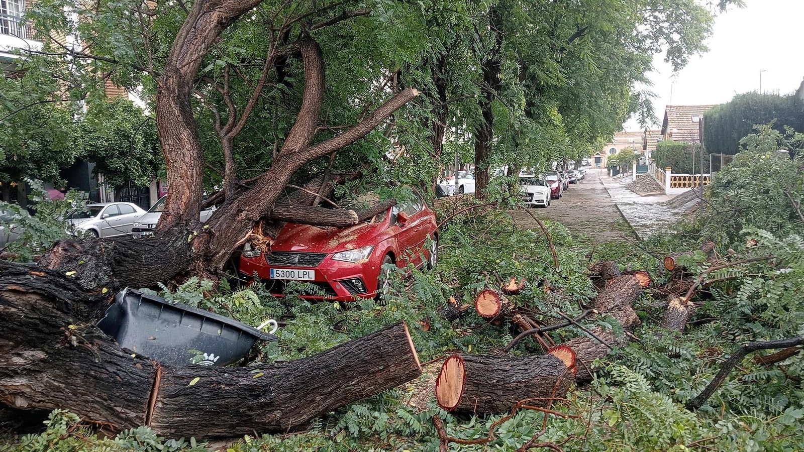 Un vehículo atrapado entre árboles en el Barrio Obrero de Huelva capital.