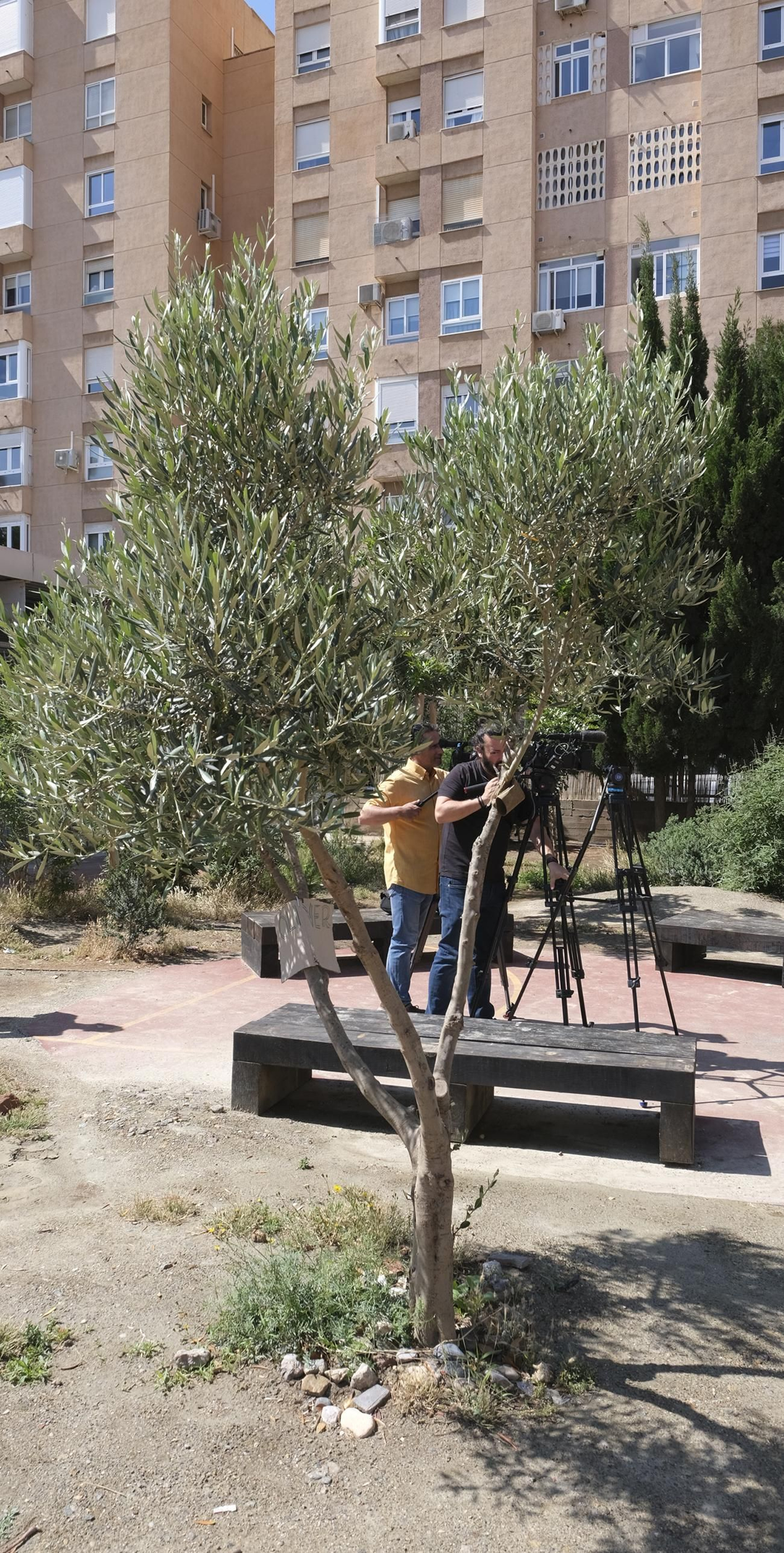 Proyecto Aulas Verdes Abiertas en el Colegio Mar Mediterráneo, de Almería