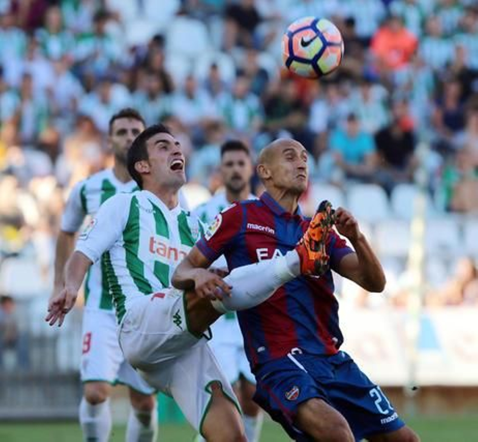 Foto: José Martínez