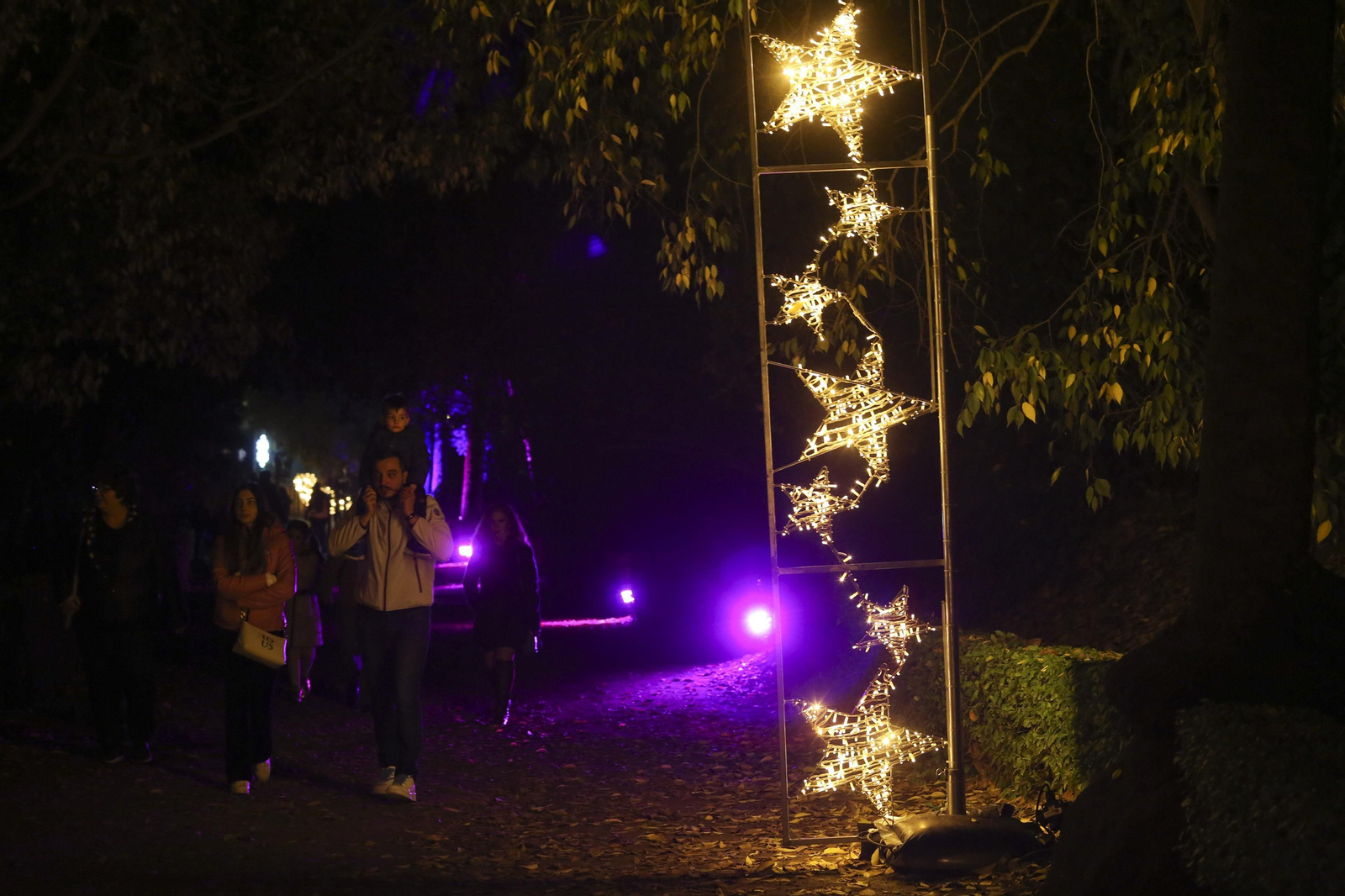 Las luces del Jardín Botánico de Málaga esta Navidad, en fotos