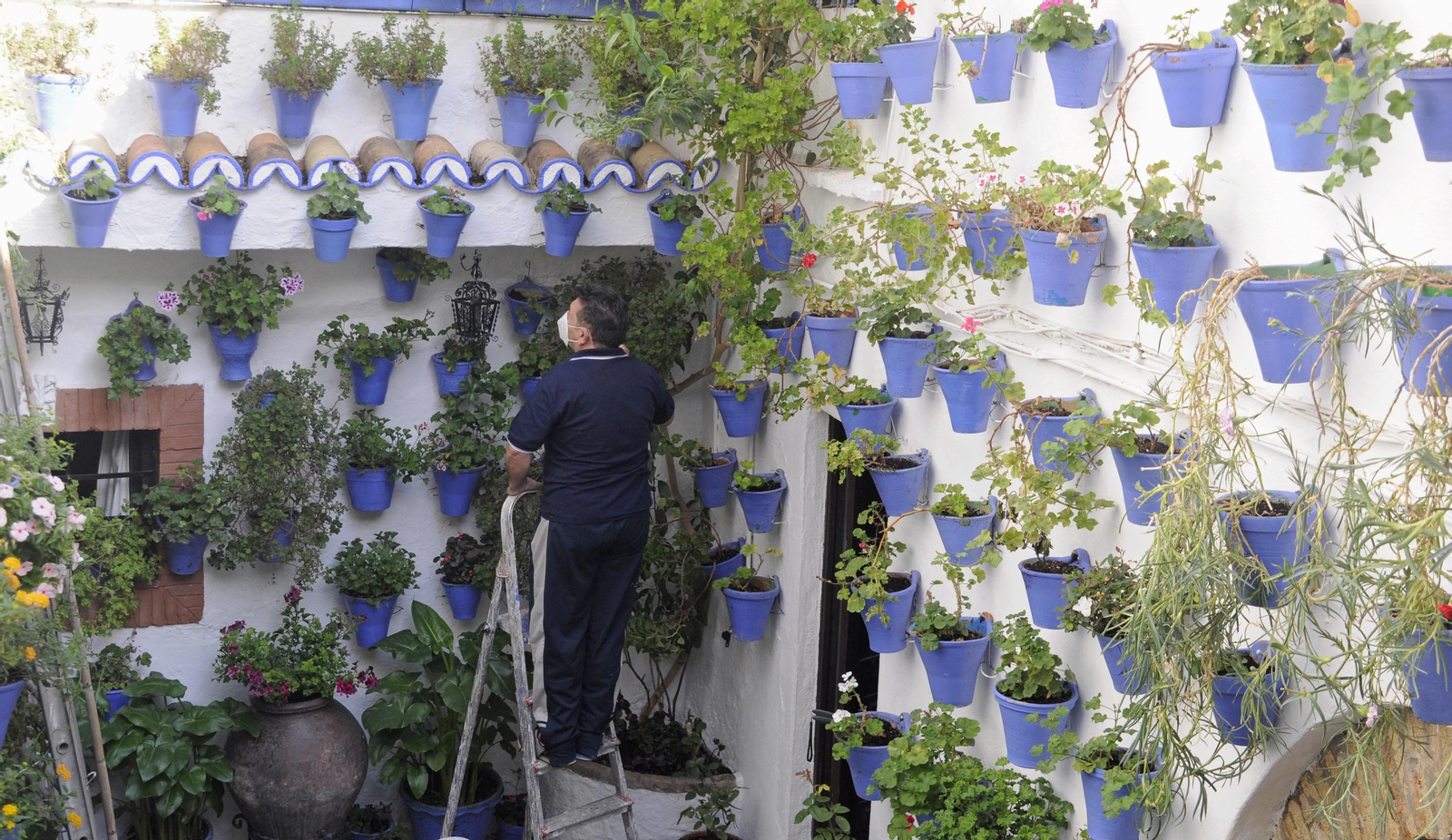 Los Patios de Córdoba se acicalan para su apertura en otoño, en fotografías