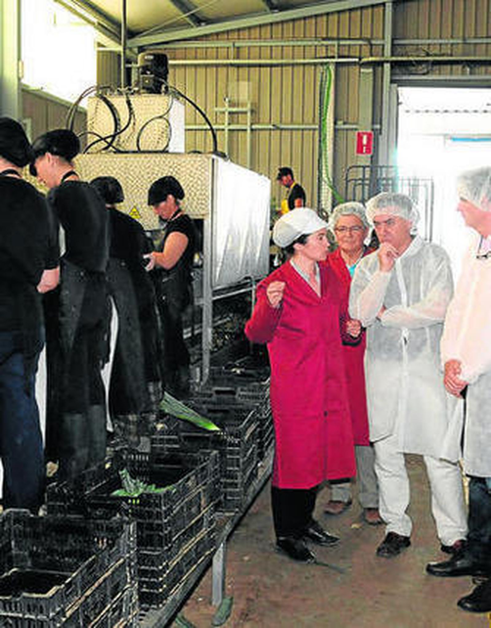 Representantes institucionales, durante una visita a esta industria agrícola.