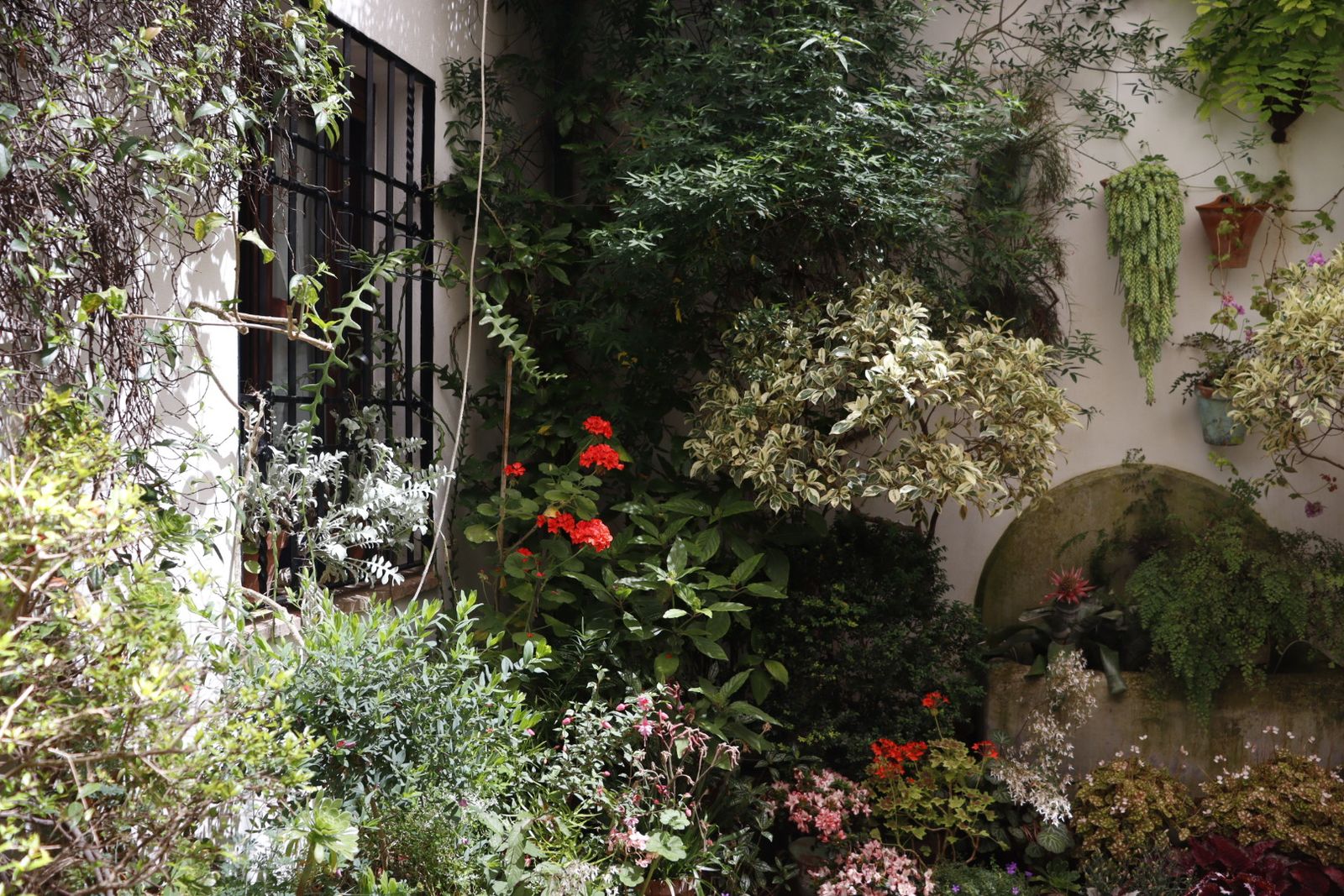 Ruta de los patios de San Lorenzo