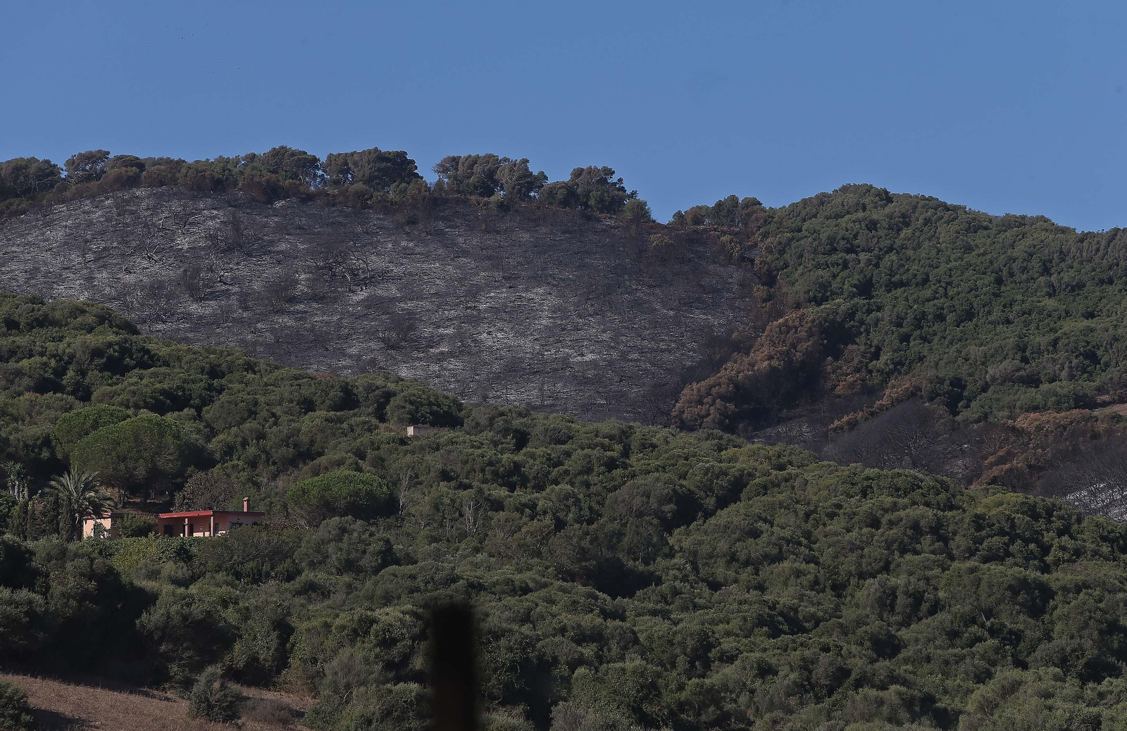 El impacto del incendio forestal de Algeciras, en imágenes