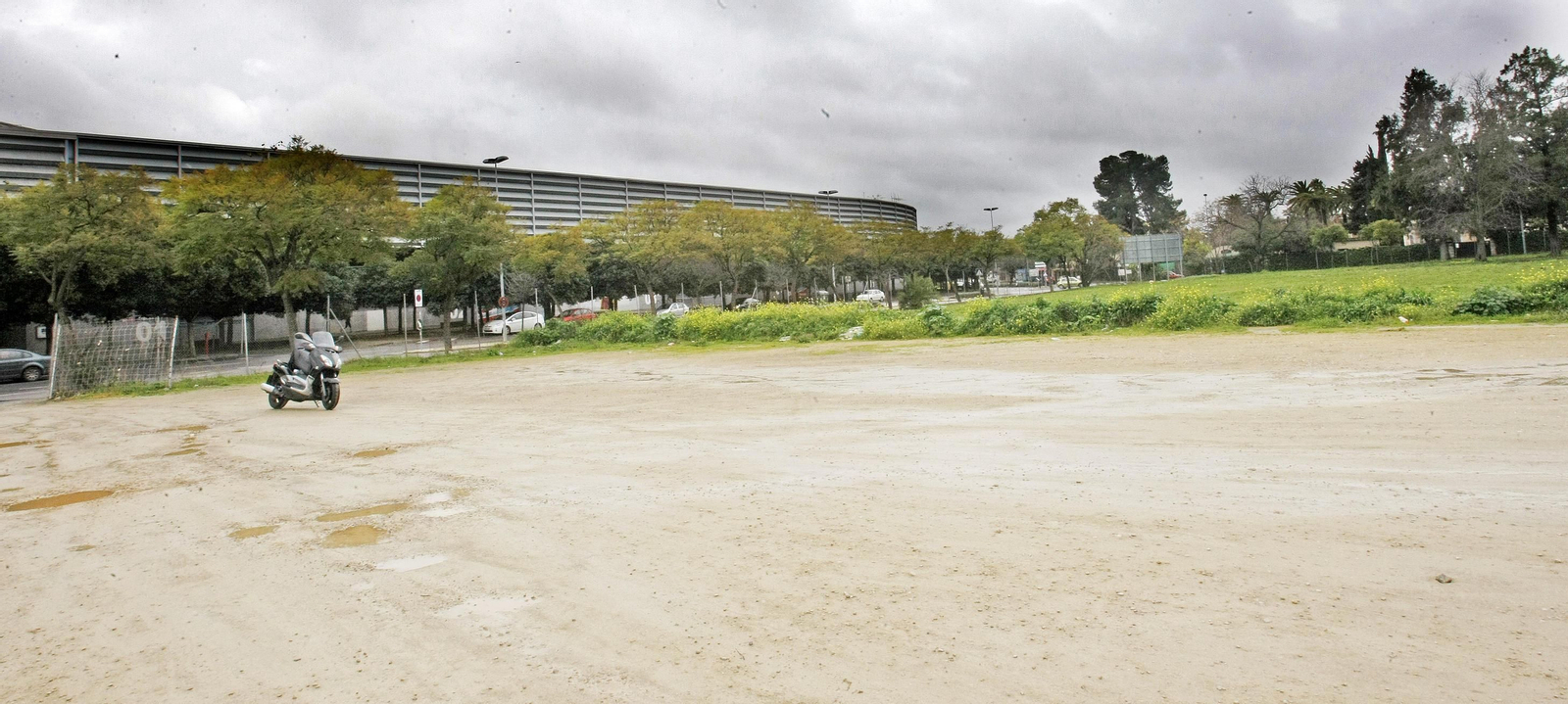 El albero del aparcamiento frente a Chapín será sustituido por un firme compacto.