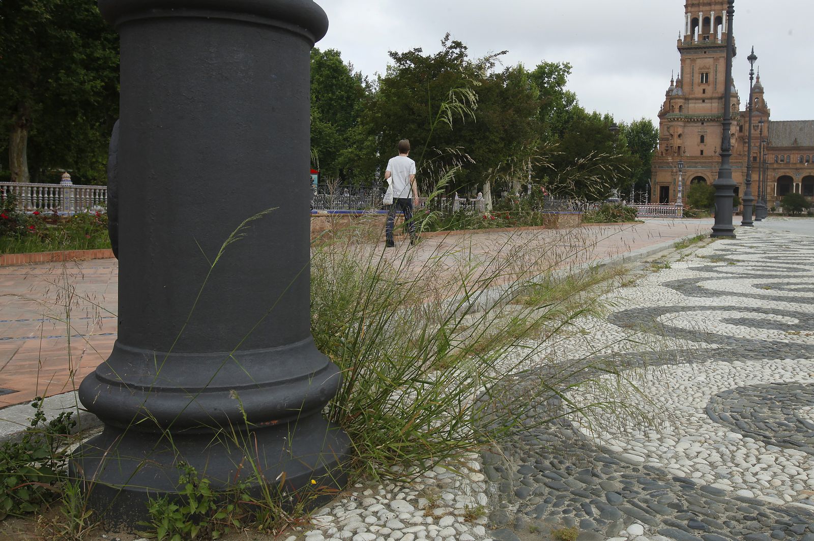 Abandono en la Plaza de España por el confinemiento