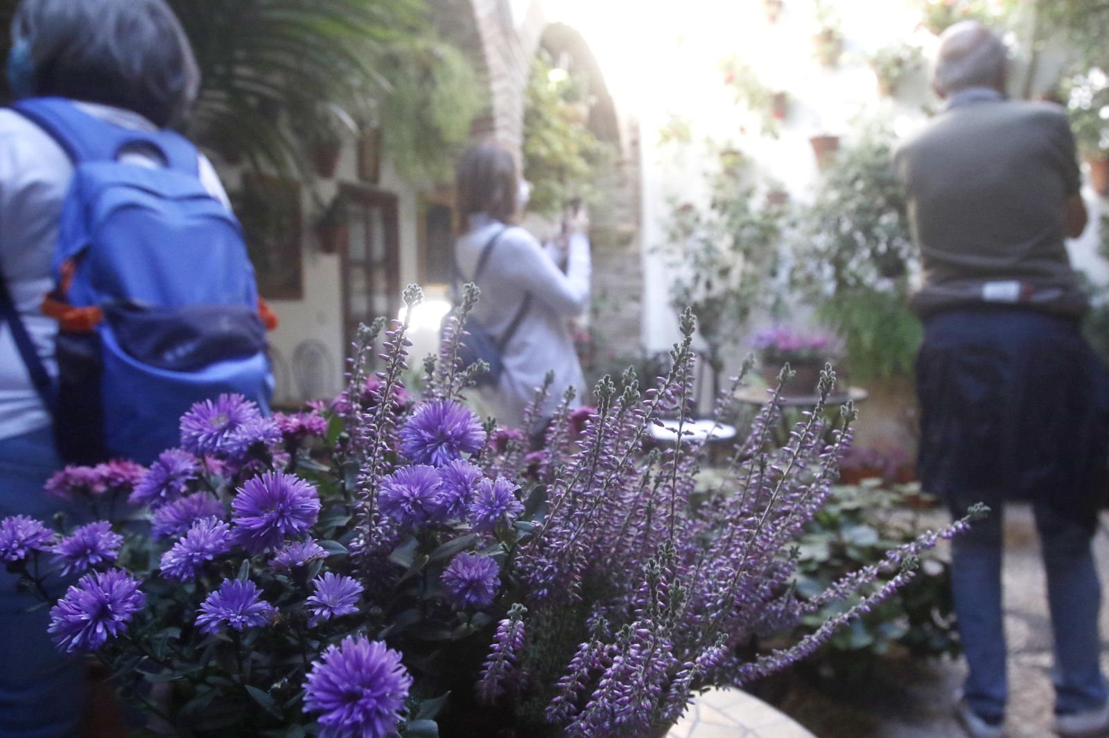 Los Patios en otoño, en fotografías