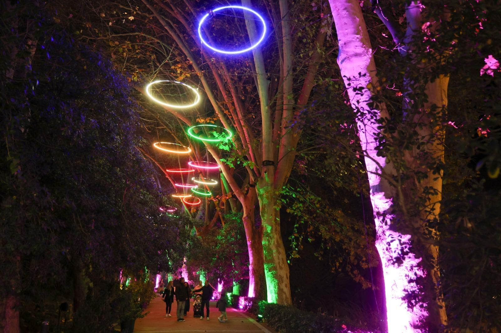 El espectaculo 'La Navidad en el Jardín de las Maravillas¡ en el Jardín Botánico, en imágenes