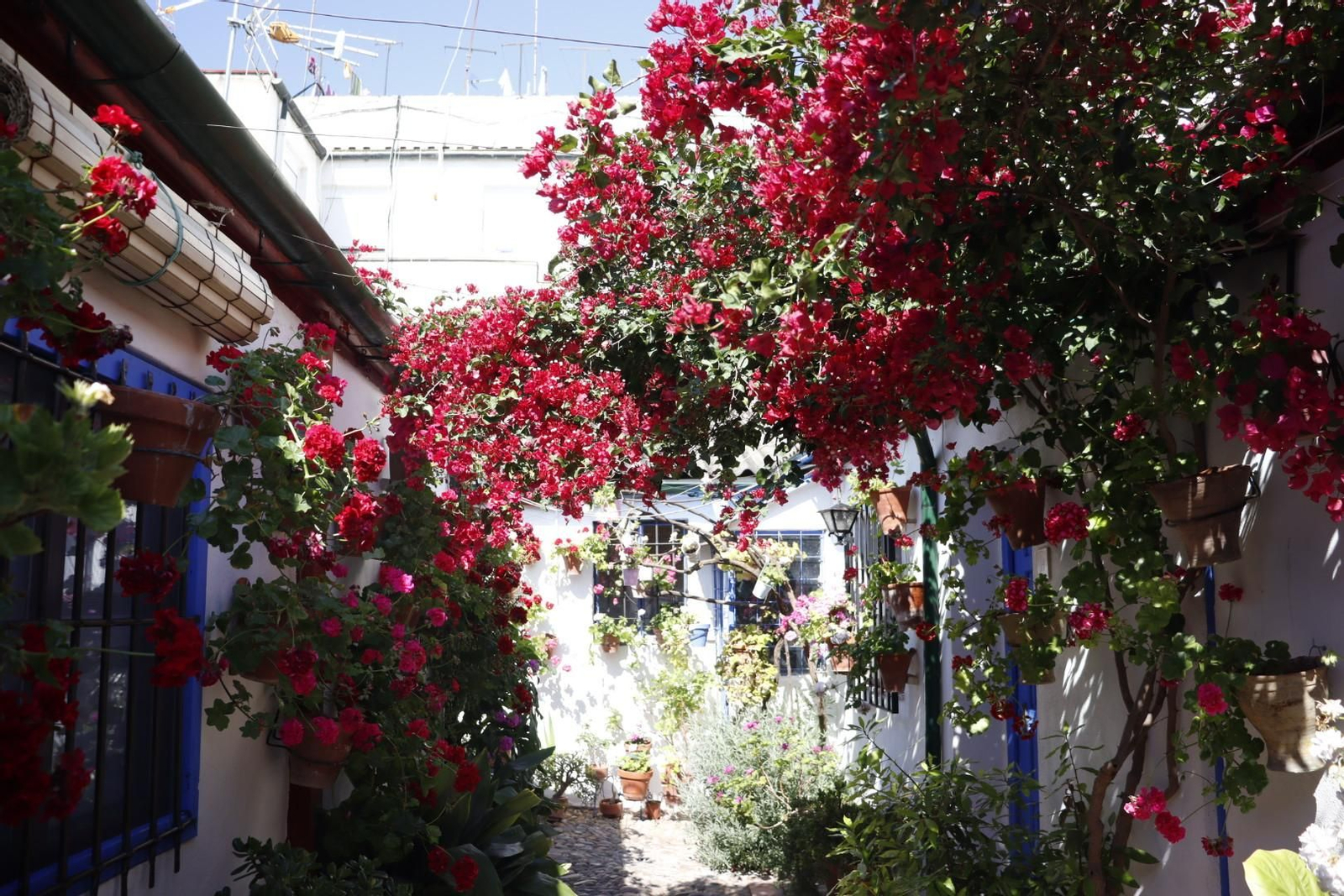 Patio de Marroquíes, 6