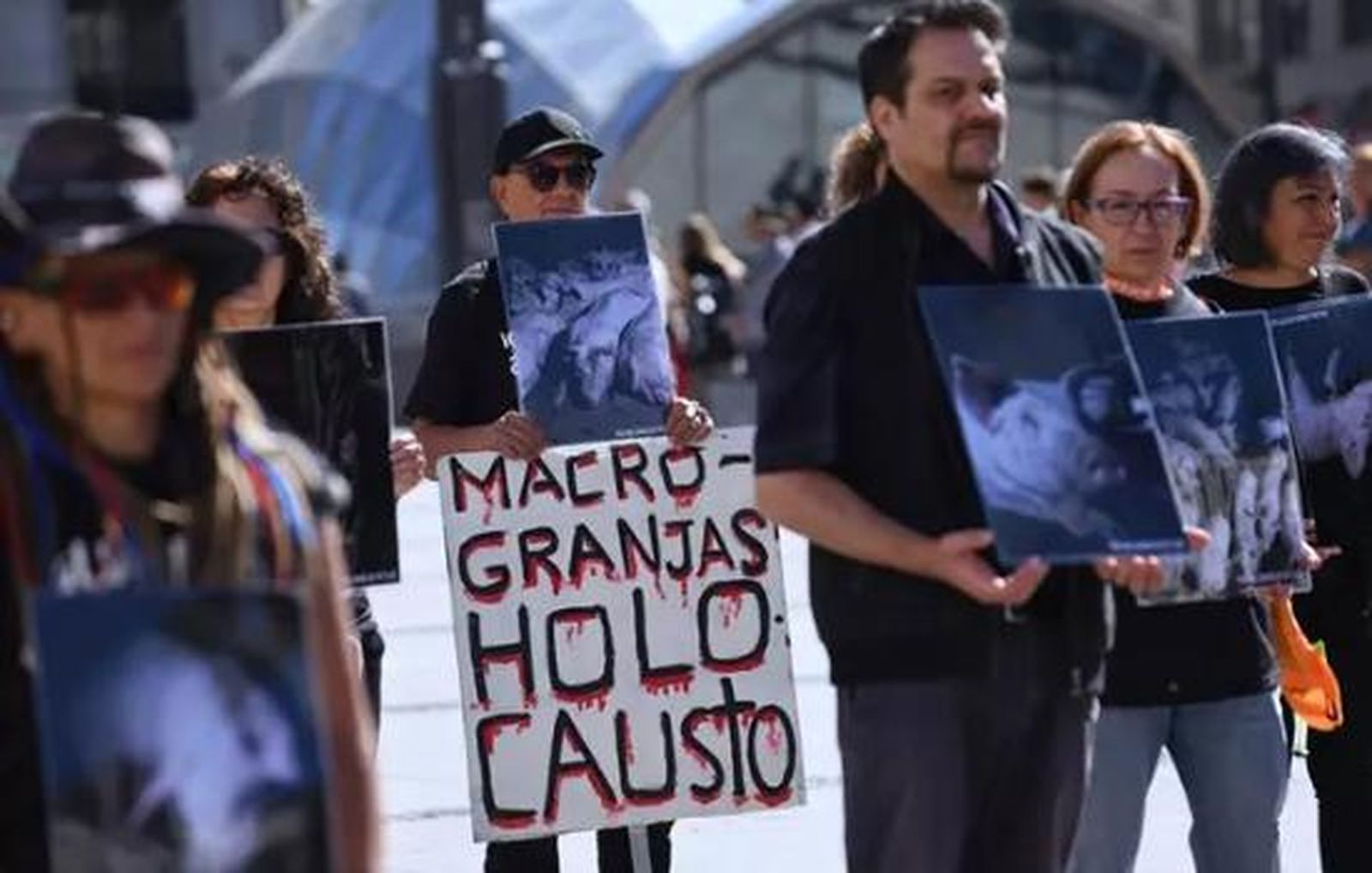Activistas de Igualdad Animal muestra en Sol imágenes de cerdos mutilados en granjas para denunciar su maltrato