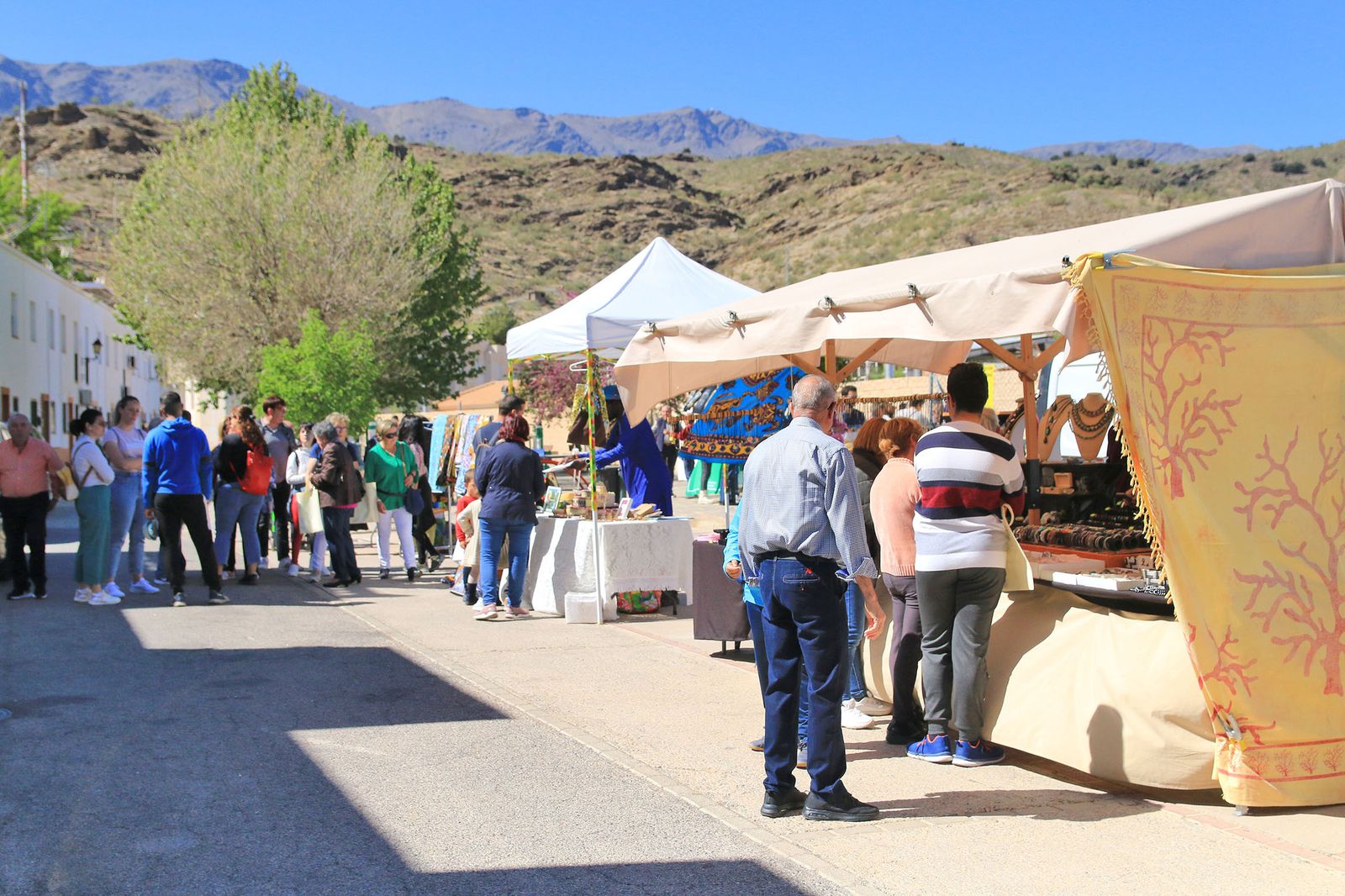 Homenaje al Olivo en Abrucena