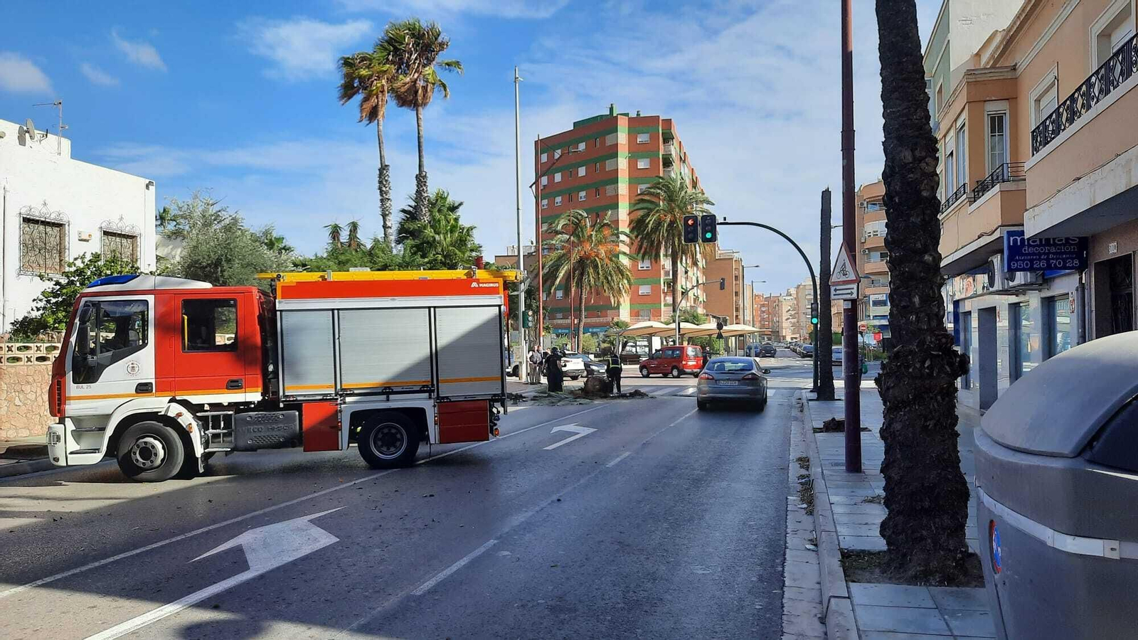 Las imágenes de la caída de una palmera en la Avenida Cabo de Gata de Almería Las imágenes de la caída de una palmera en la Avenida Cabo de Gata de Almería