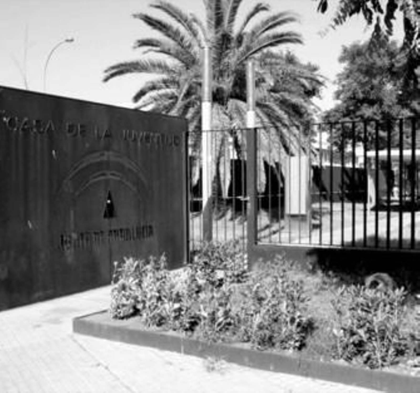 Imagen del acceso a la Casa de la Juventud.