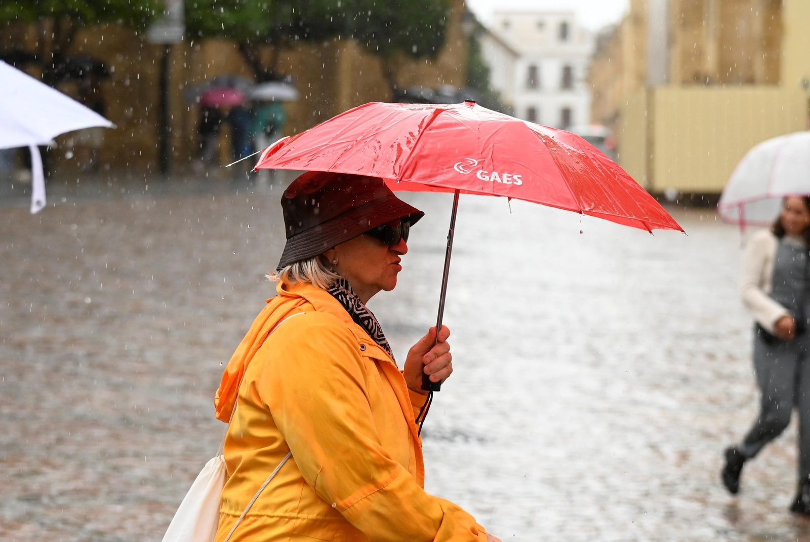 El paso de la borrasca Berenice por Córdoba, en imágenes