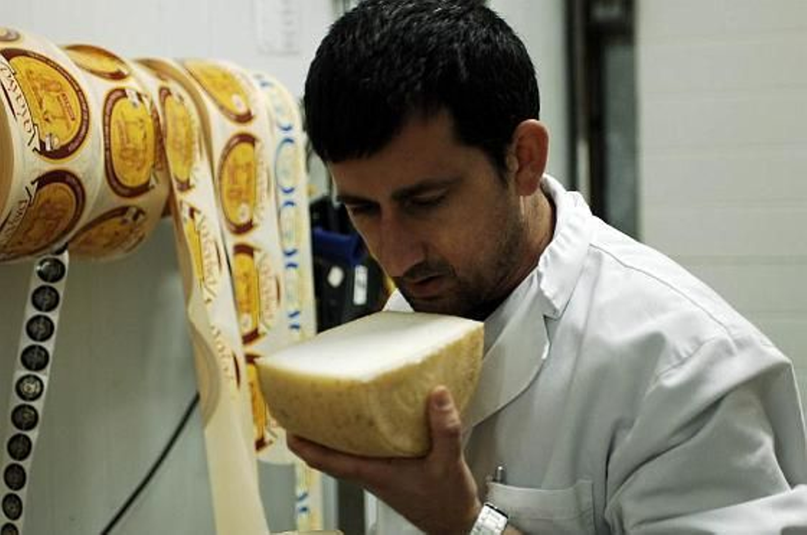 El arte del queso artesanal en la fábrica de Payoyo en Villaluenga. 

Foto: Ramon Aguilar