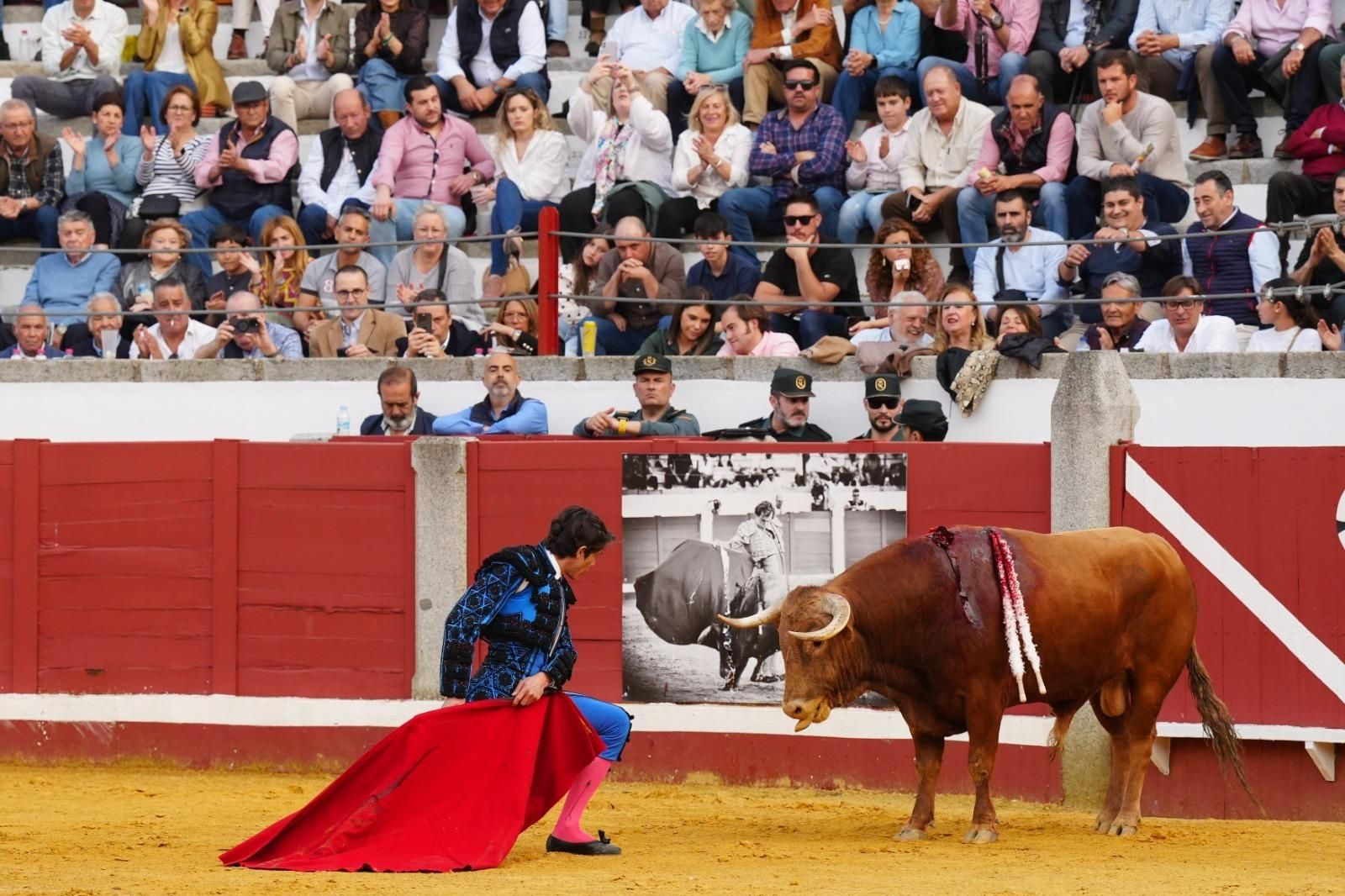 La corrida triunfal de Castella, Manzanares y Roca Rey en Pozoblanco, en imágenes