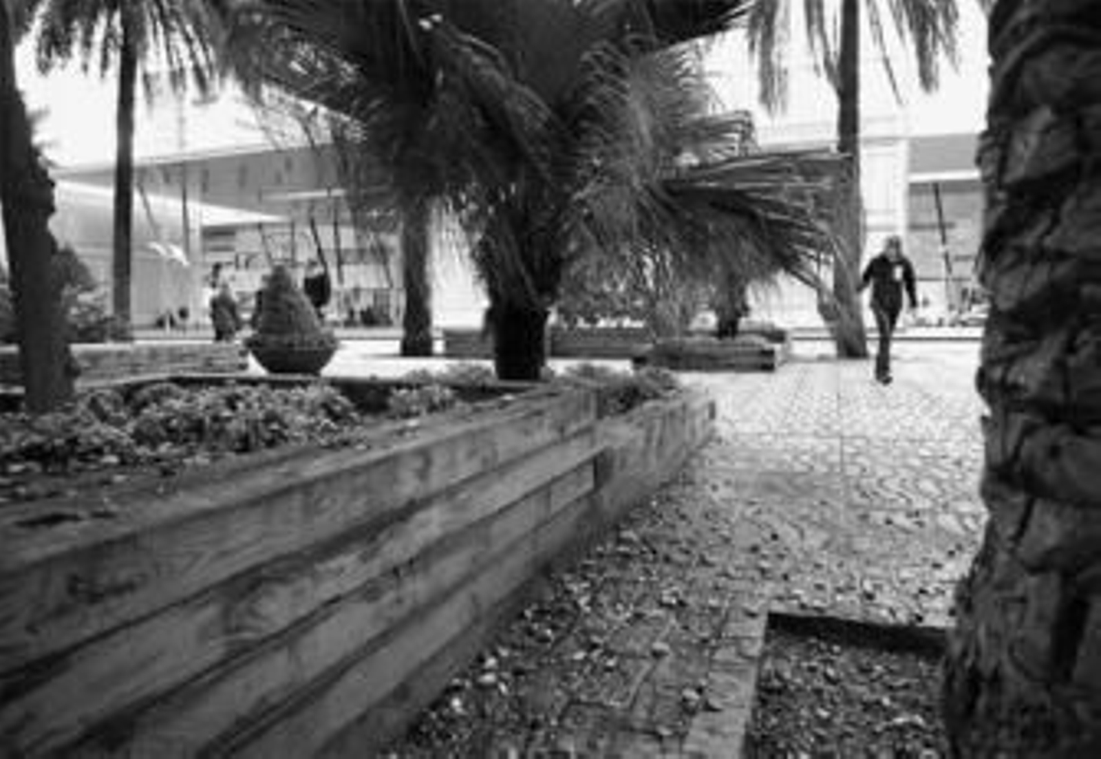 Uno de los trenes AVE Málaga-Madrid sufre un retraso de hora y 45 minutos