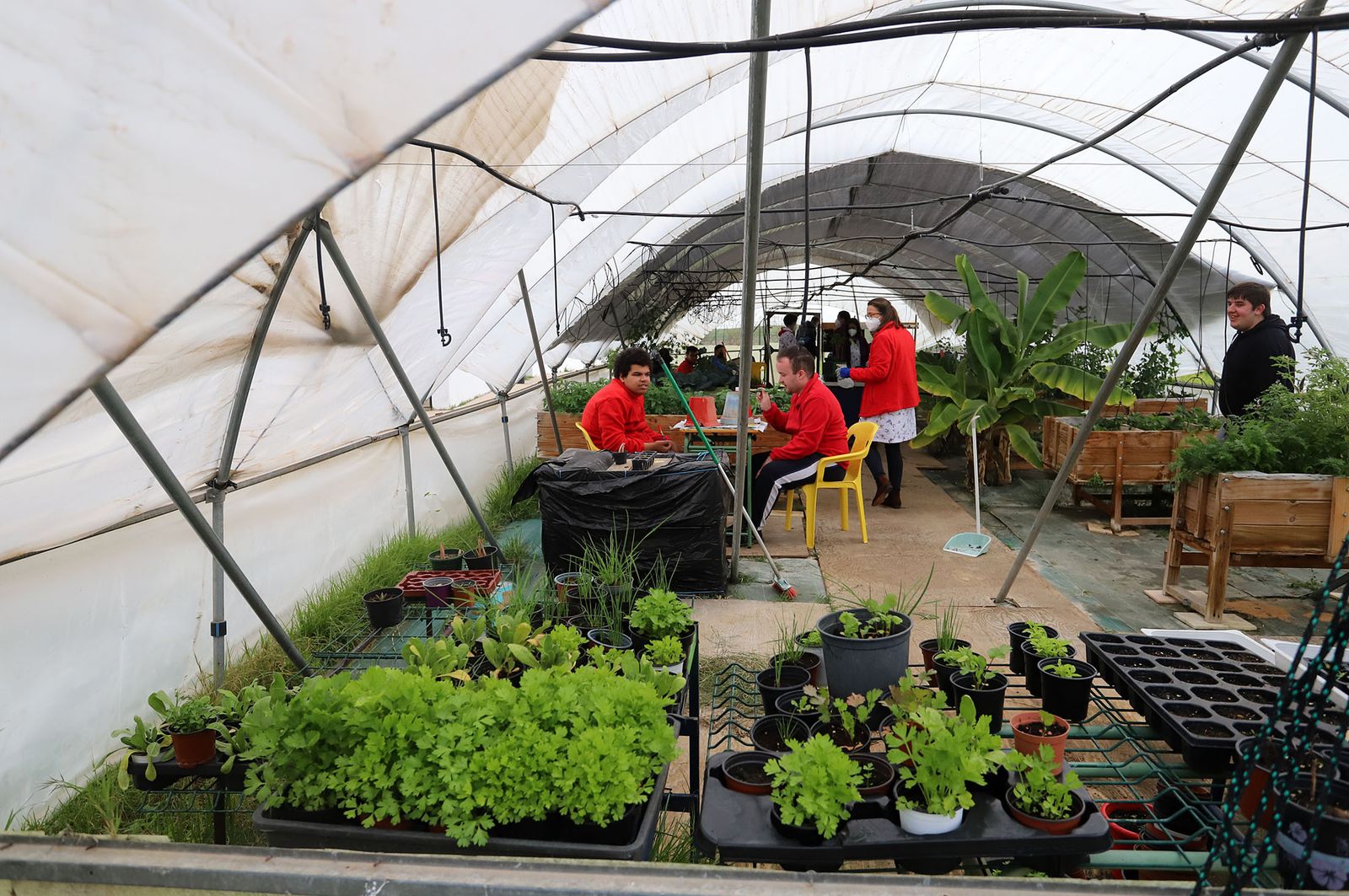 Un día en el Centro de Educación Especial Sagrada Familia