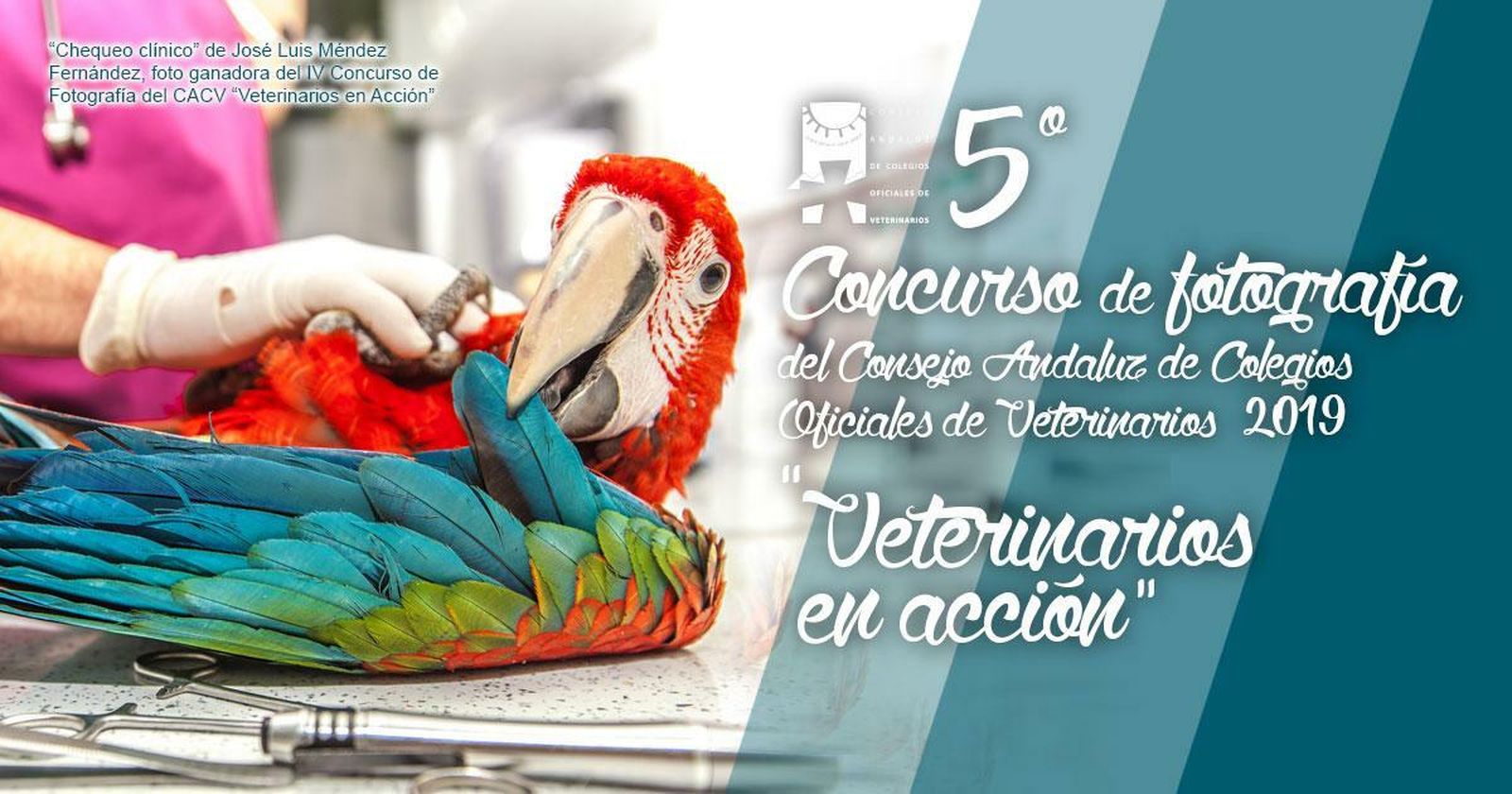 El Consejo de Colegios de Veterinarios  convoca el V Concurso de Fotografía "Veterinarios en Acción"