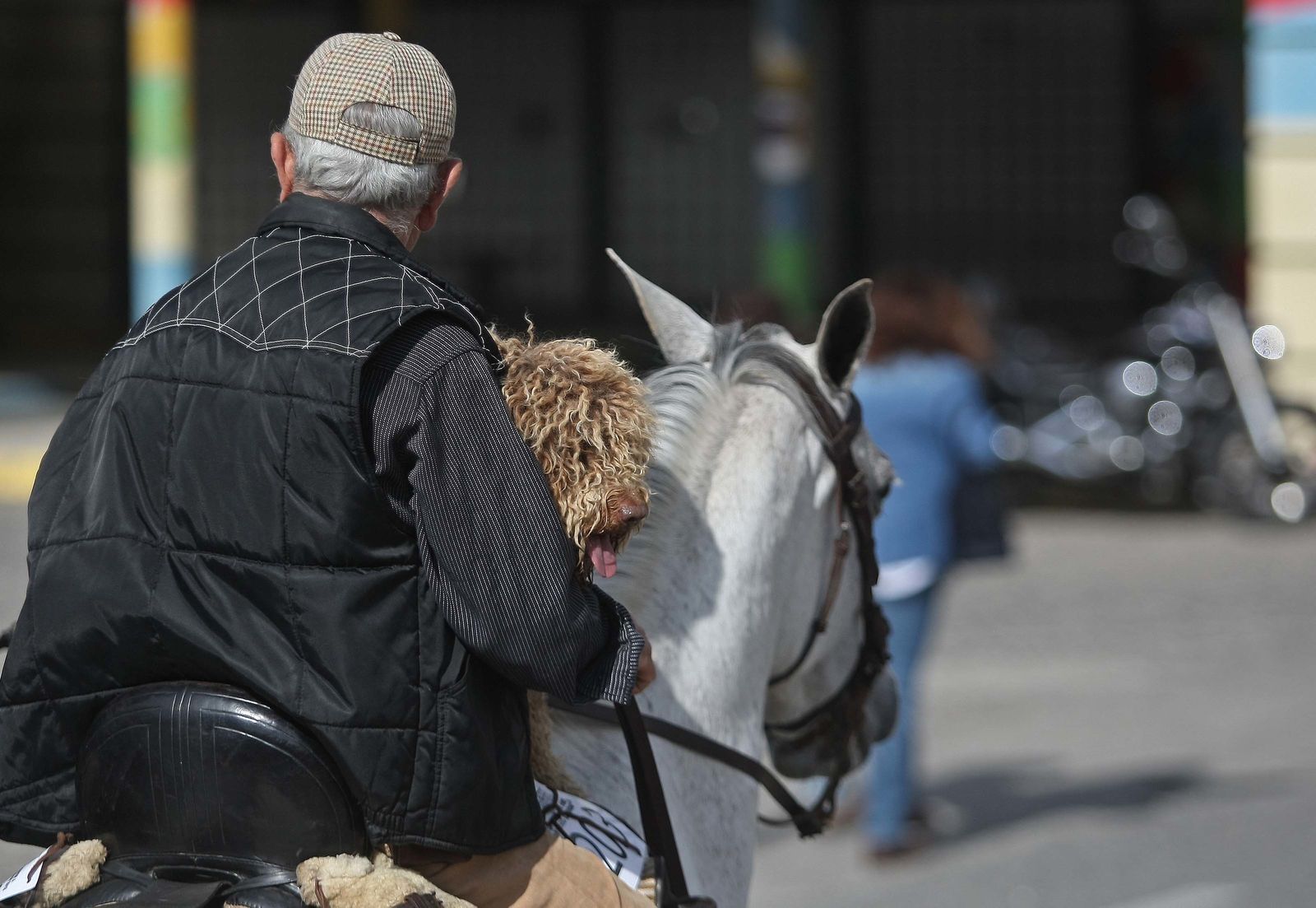 La Romería de Los Barrios, en imágenes